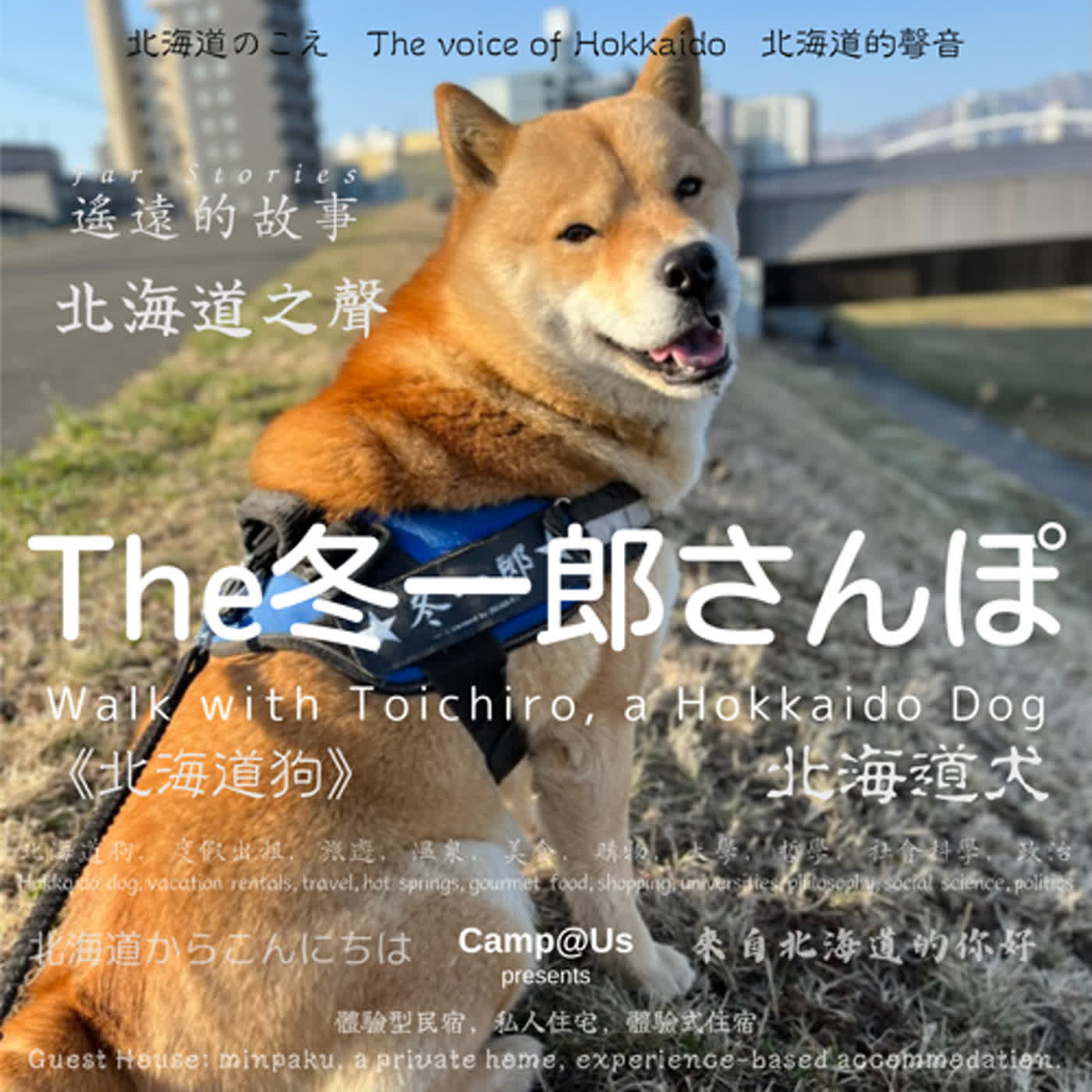 The 冬一郎さんぽ #23 　北海道犬《北海道狗》 北海道之聲