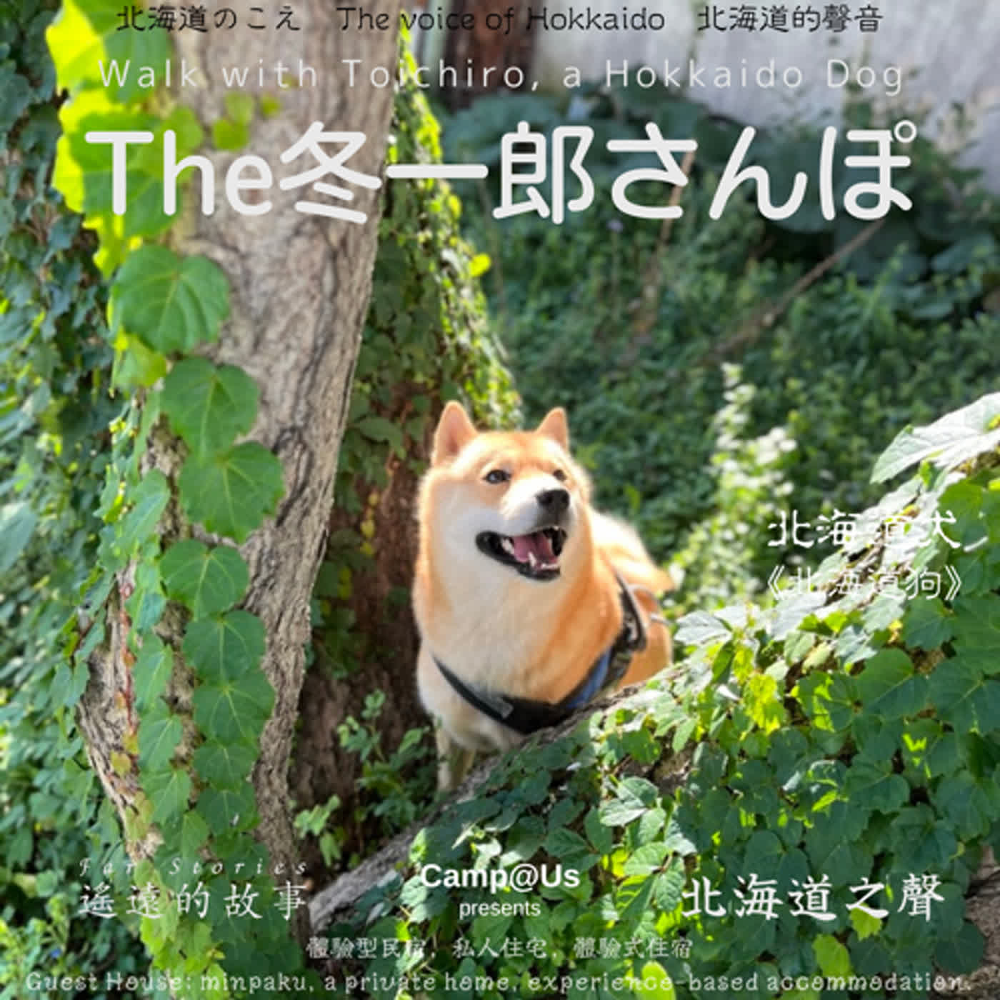 The 冬一郎さんぽ #30 　北海道犬《北海道狗》 北海道之聲