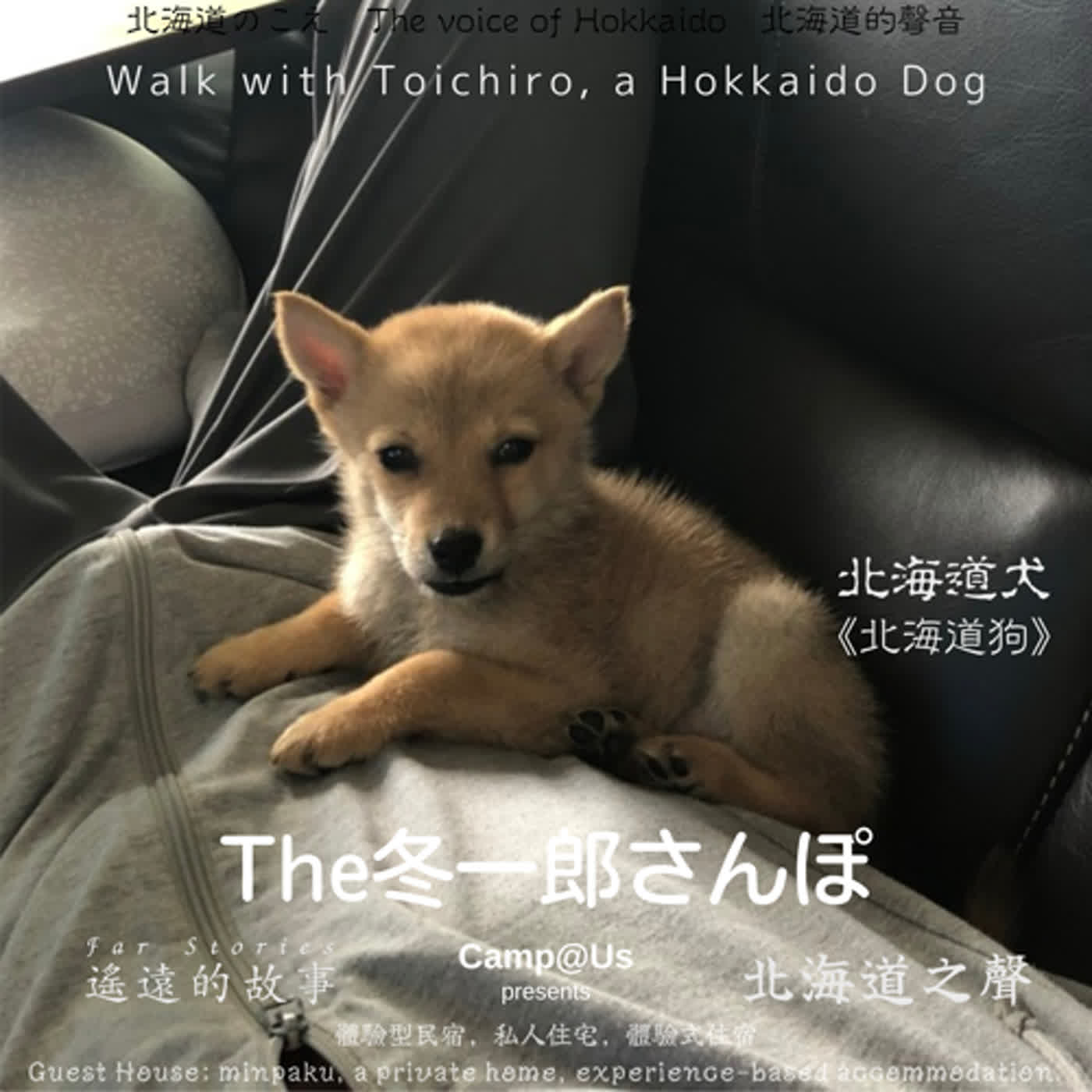 The 冬一郎さんぽ #19 　北海道犬《北海道狗》 北海道之聲