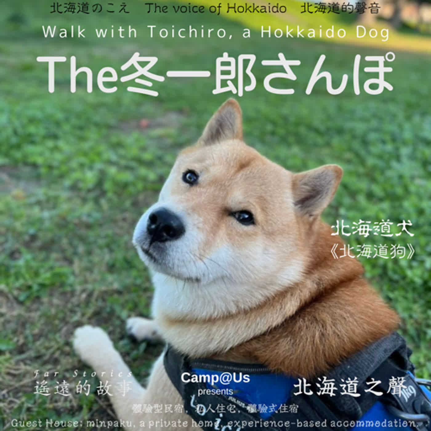 The 冬一郎さんぽ #48 　北海道犬《北海道狗》 北海道之聲