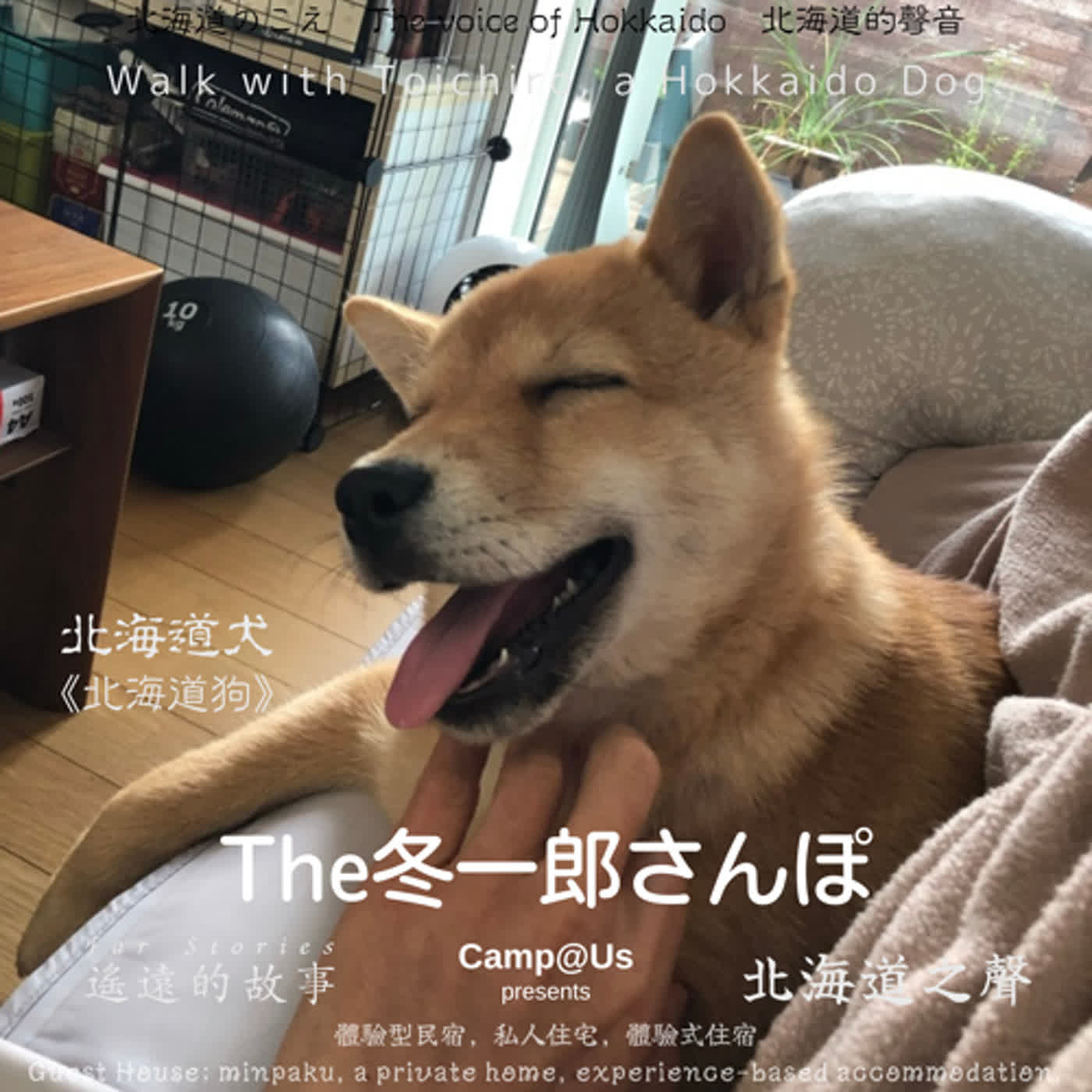The 冬一郎さんぽ #22 　北海道犬《北海道狗》 北海道之聲