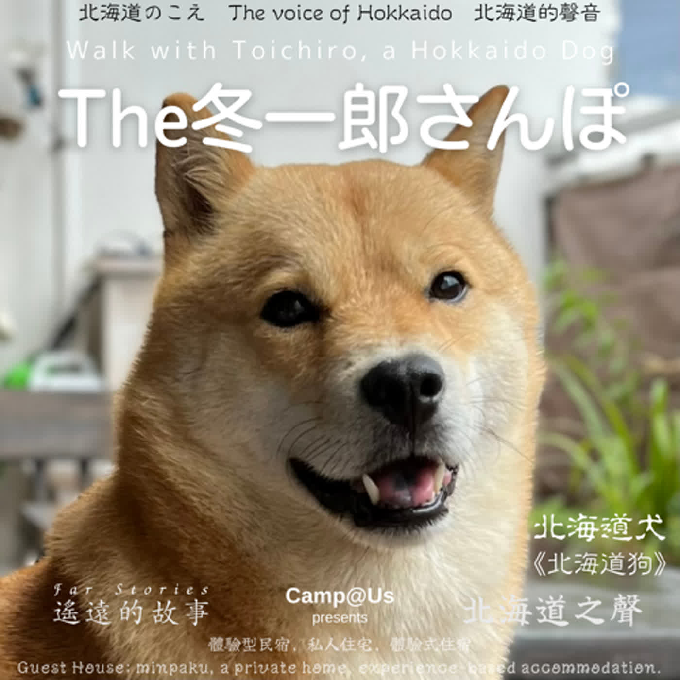 The 冬一郎さんぽ #32 　北海道犬《北海道狗》 北海道之聲