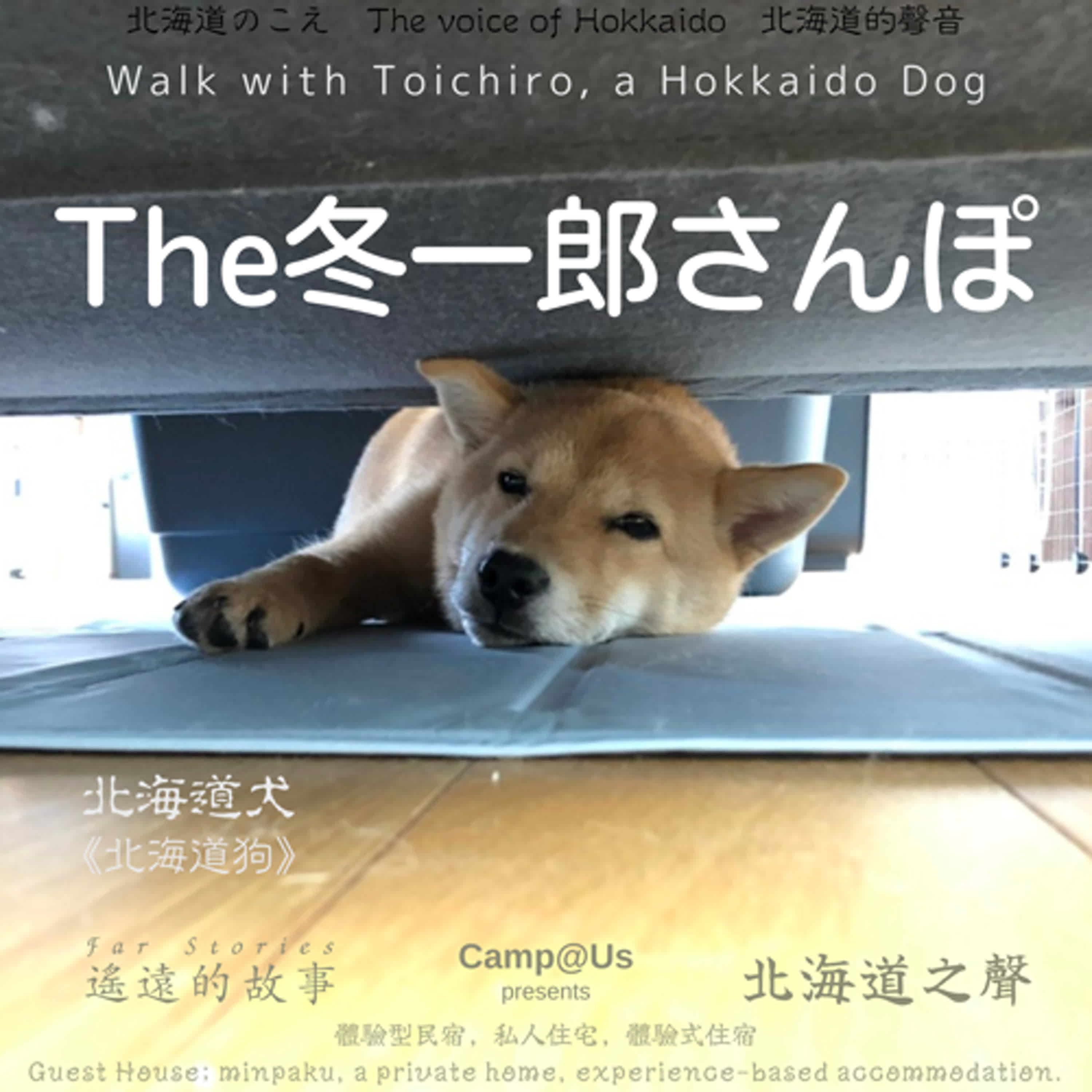 The 冬一郎さんぽ #60 　北海道犬《北海道狗》 北海道之聲