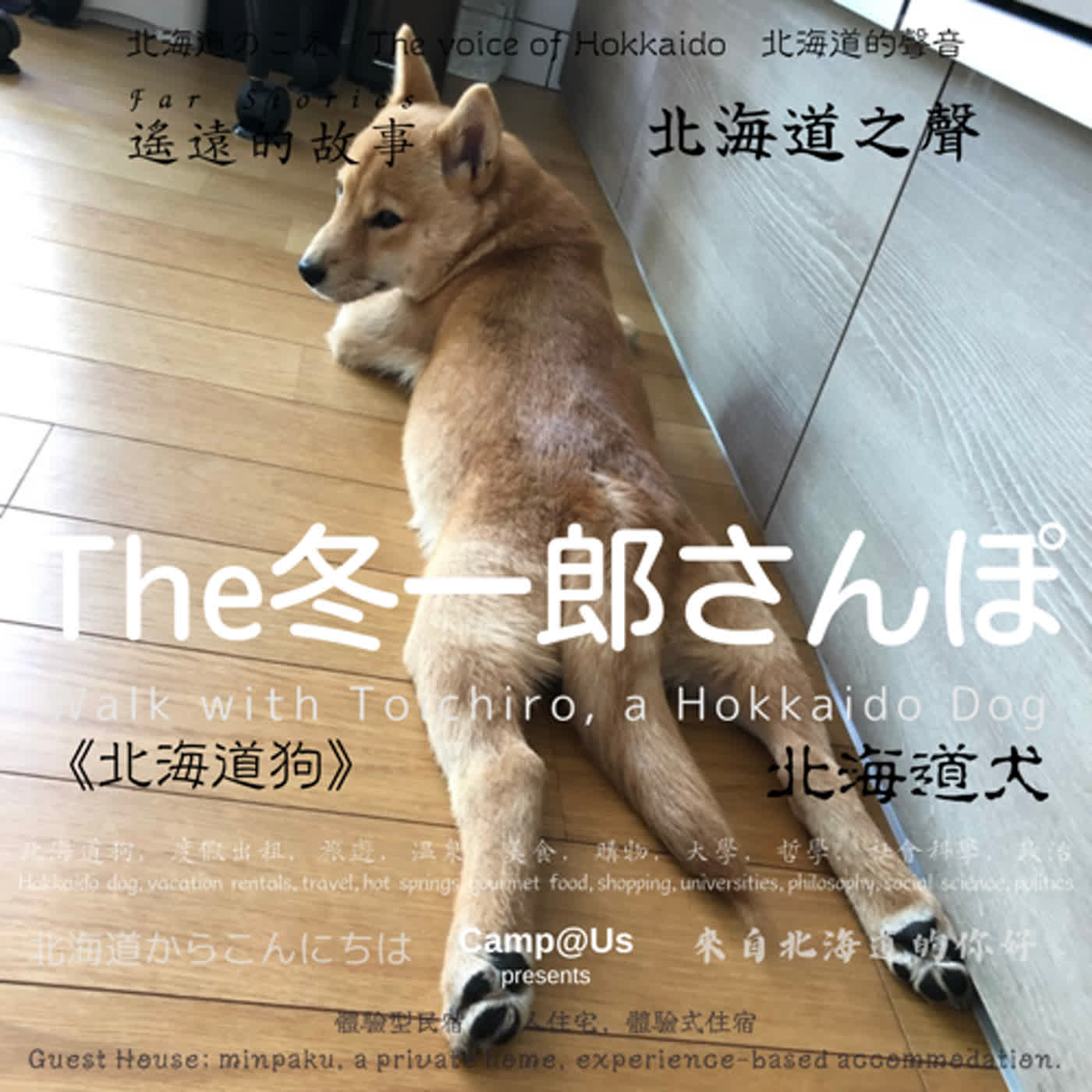 The 冬一郎さんぽ #14 　北海道犬《北海道狗》 北海道之聲