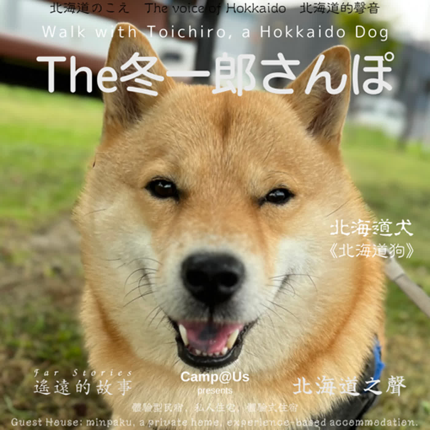 The 冬一郎さんぽ #49 　北海道犬《北海道狗》 北海道之聲