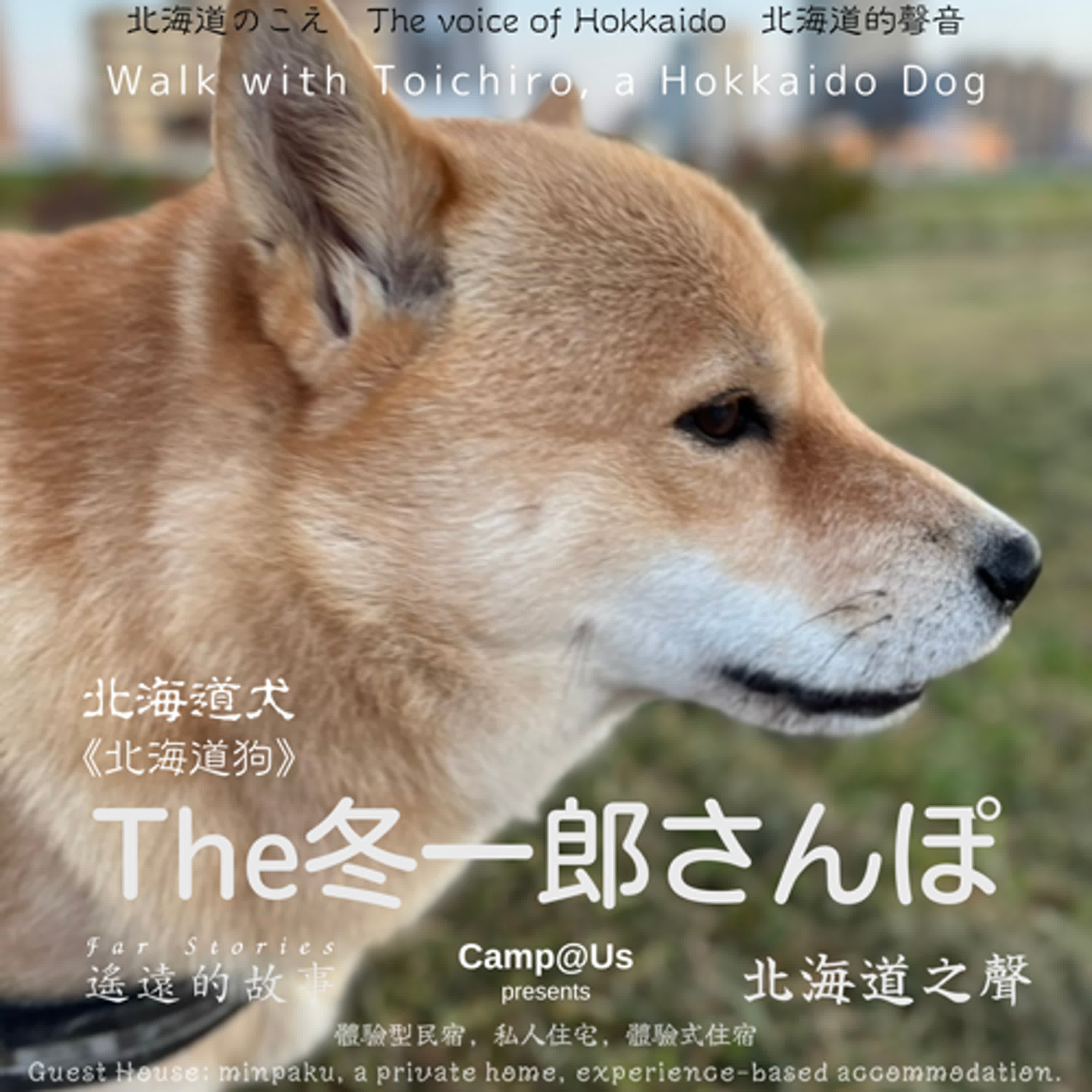 The 冬一郎さんぽ #59 　北海道犬《北海道狗》 北海道之聲