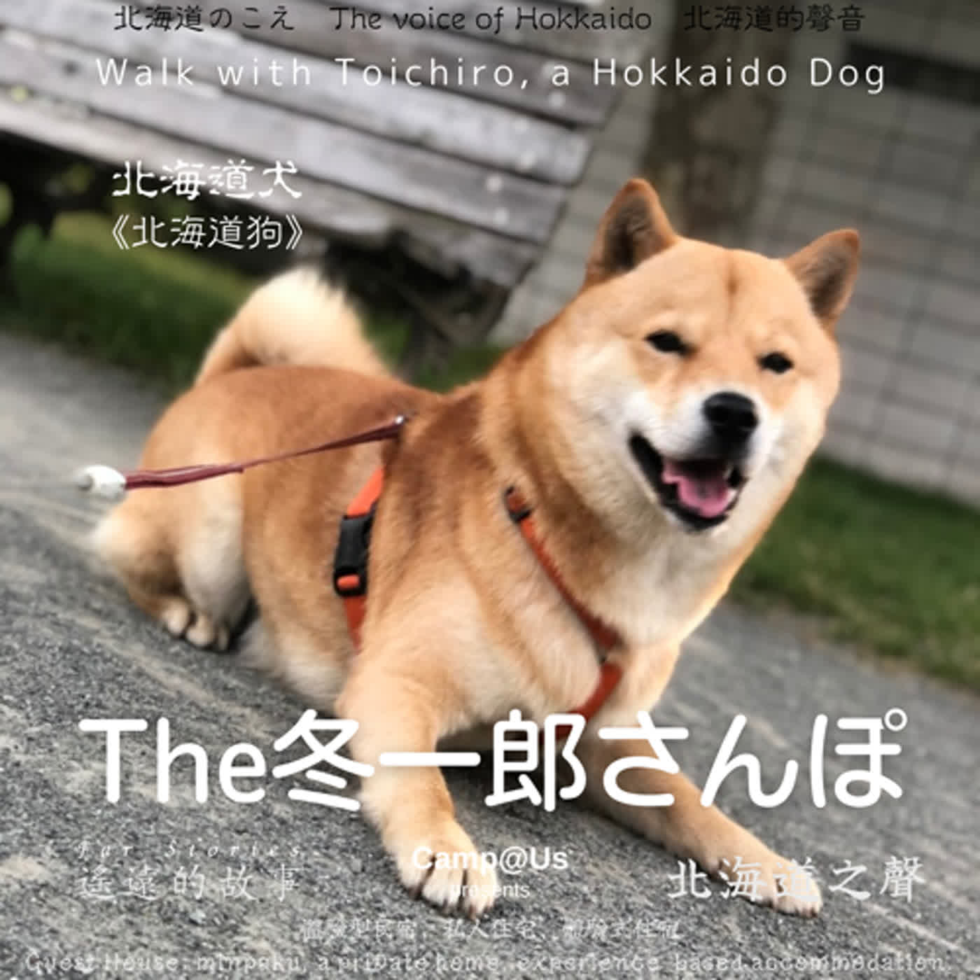 The 冬一郎さんぽ #40 　北海道犬《北海道狗》 北海道之聲