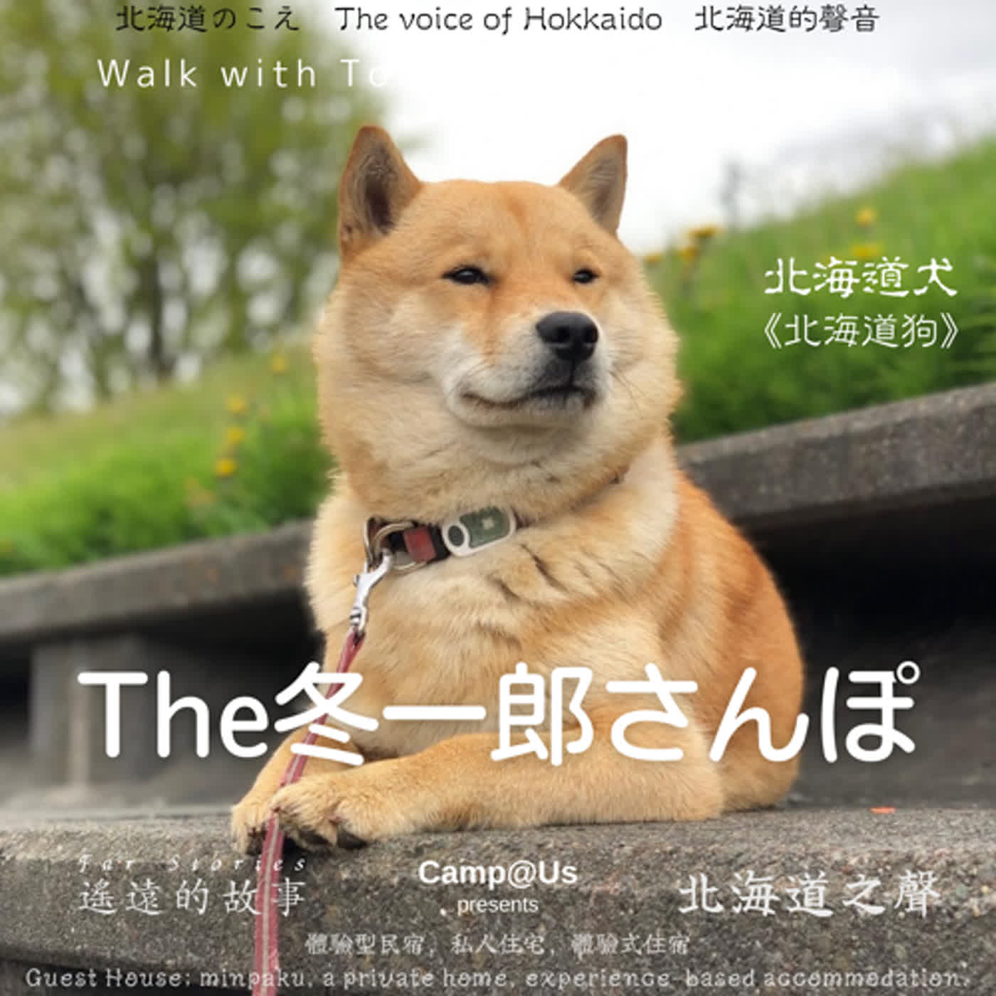 The 冬一郎さんぽ #34 　北海道犬《北海道狗》 北海道之聲