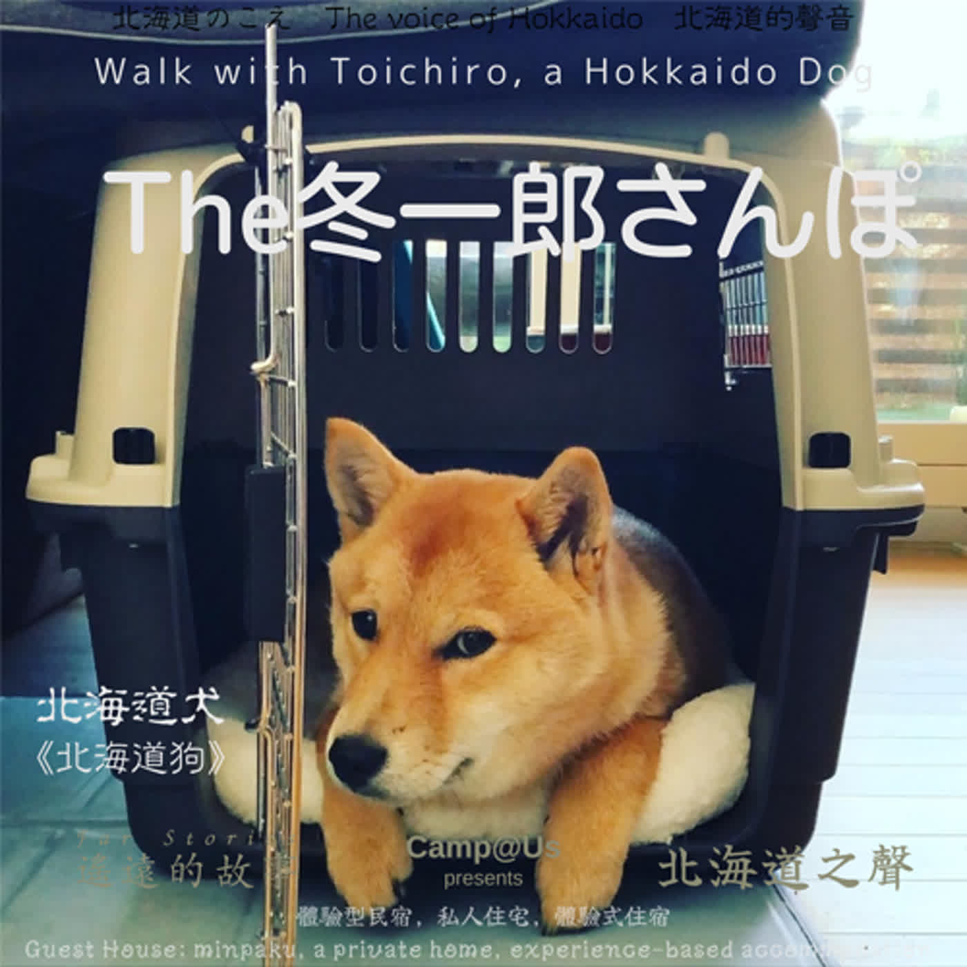 The 冬一郎さんぽ #20 　北海道犬《北海道狗》 北海道之聲