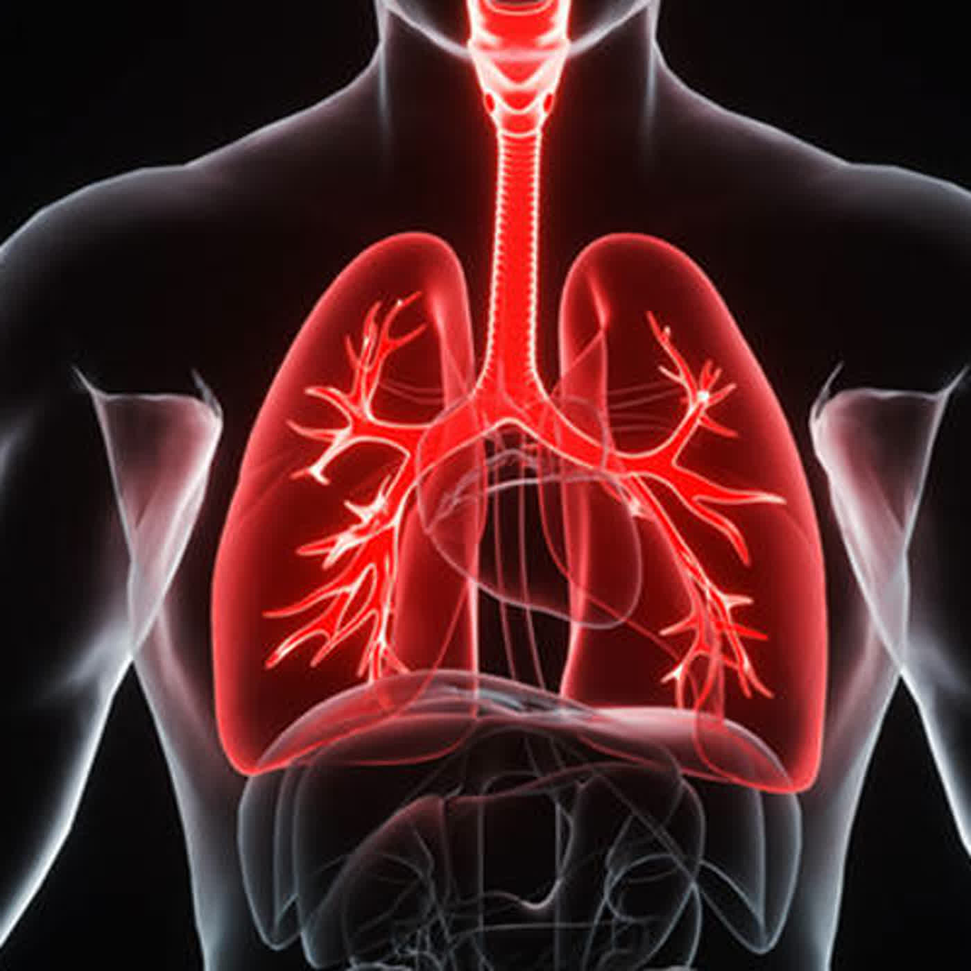 2024十大死因癌症居冠，奪命癌王肺癌!童綜合醫院胸腔暨重症醫學科蔡慶宏主任03 episode artwork