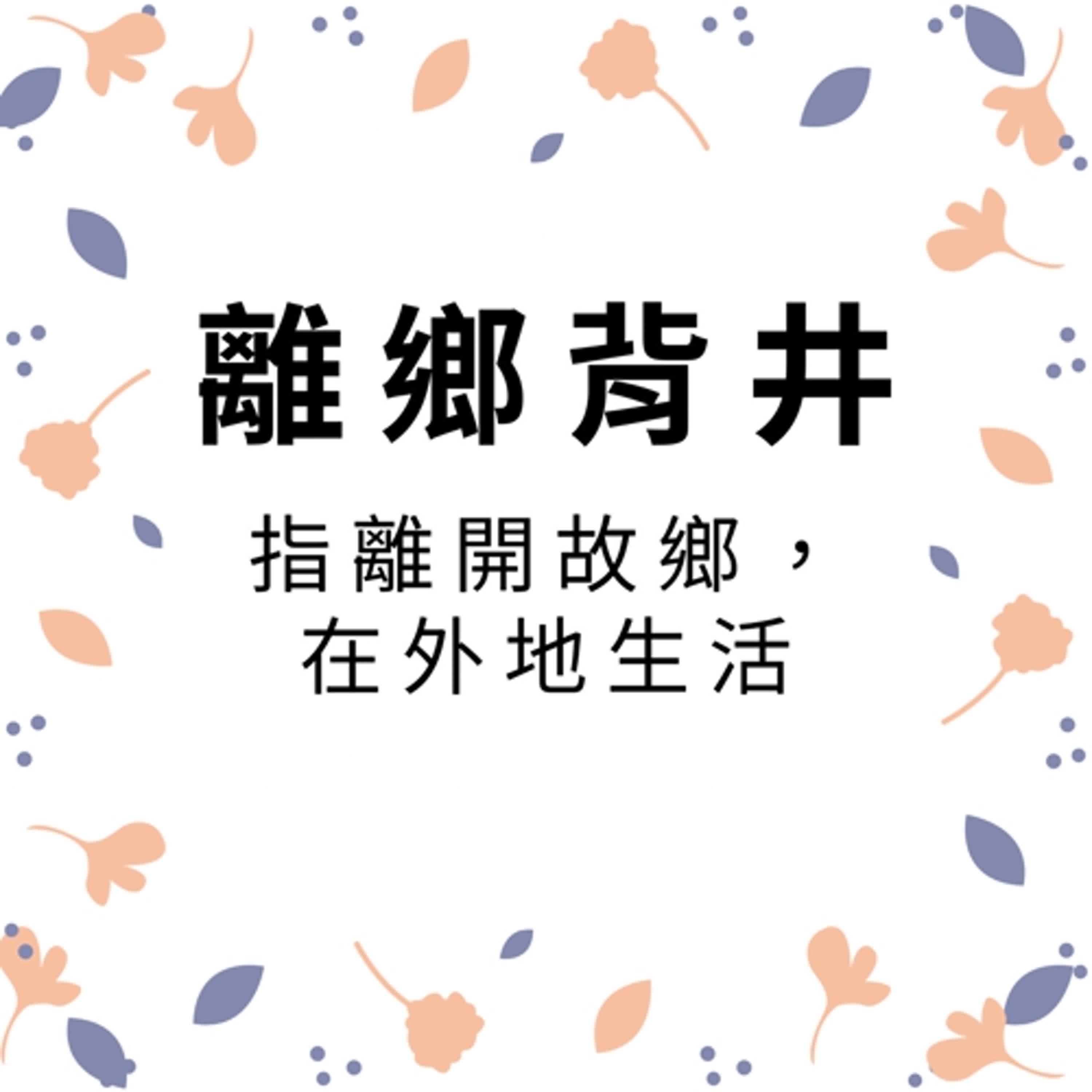 ep311離鄉背井 episode artwork