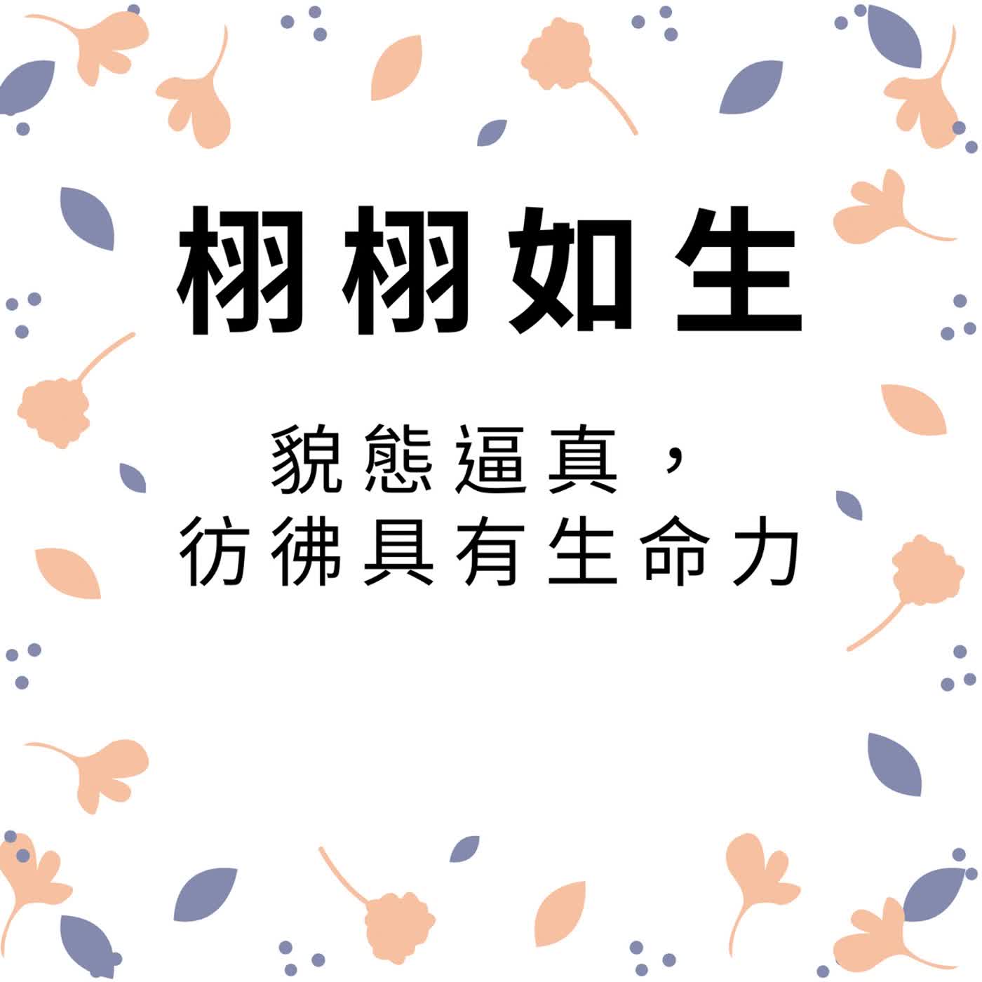 ep629栩栩如生 episode artwork