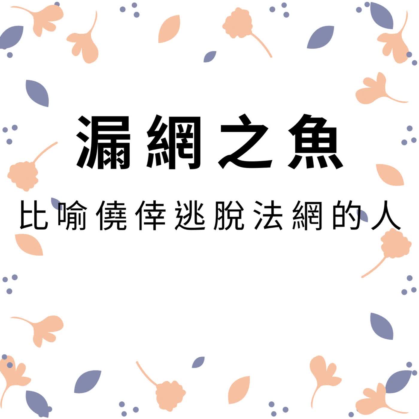 ep653漏網之魚 episode artwork