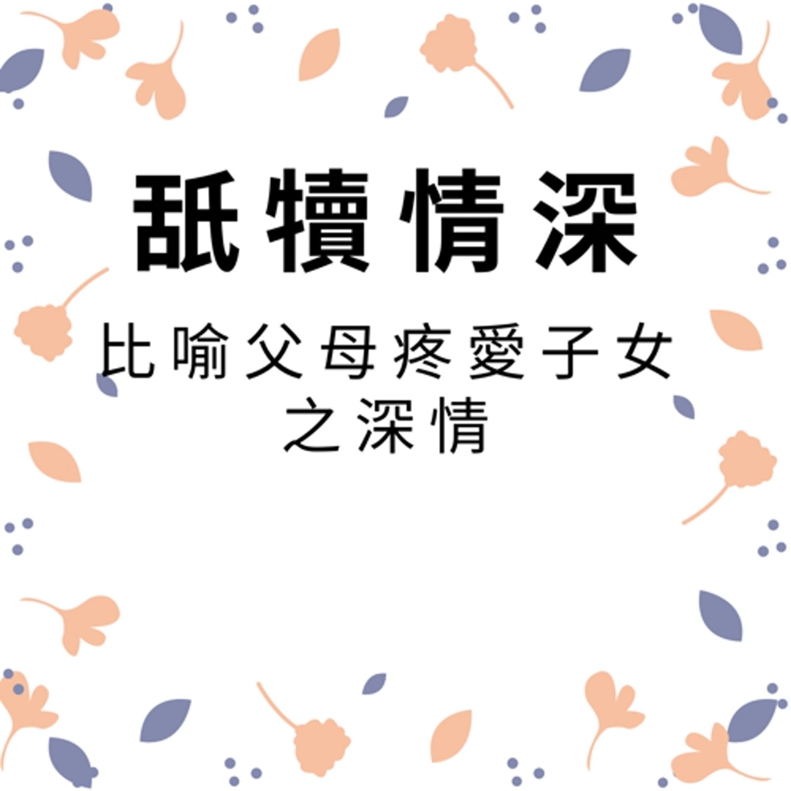 ep488舐犢情深 episode artwork