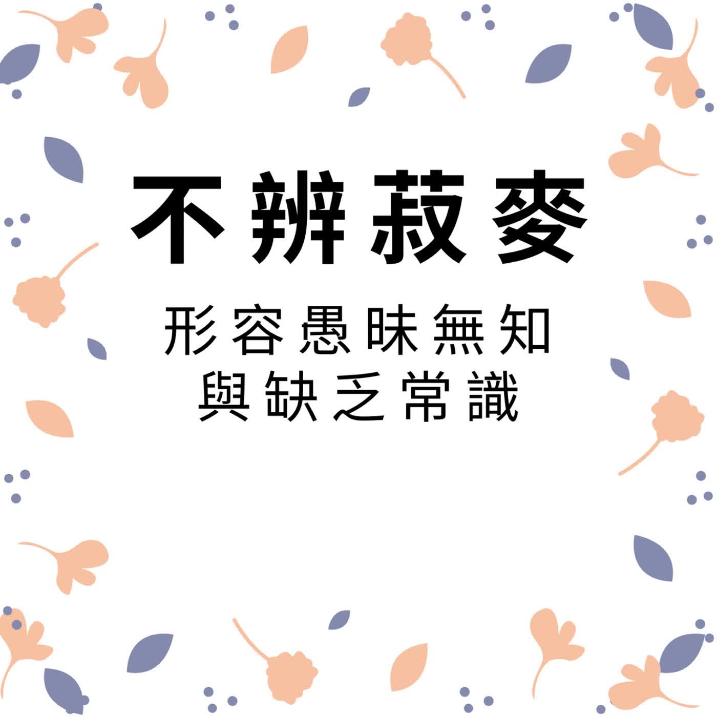 ep631不辨菽麥 episode artwork