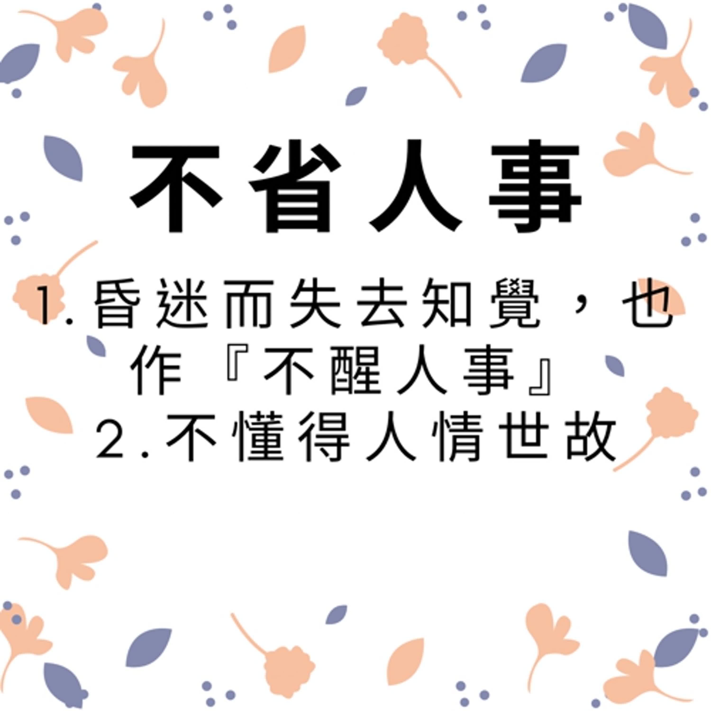ep538不省人事 episode artwork