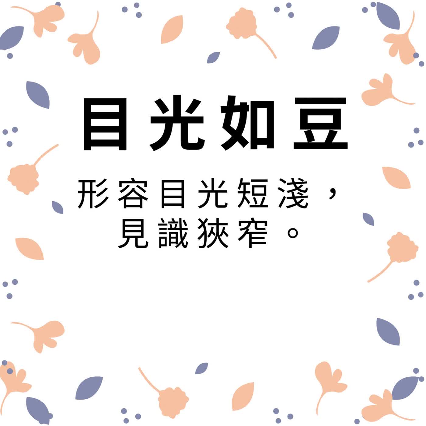 ep600目光如豆 episode artwork