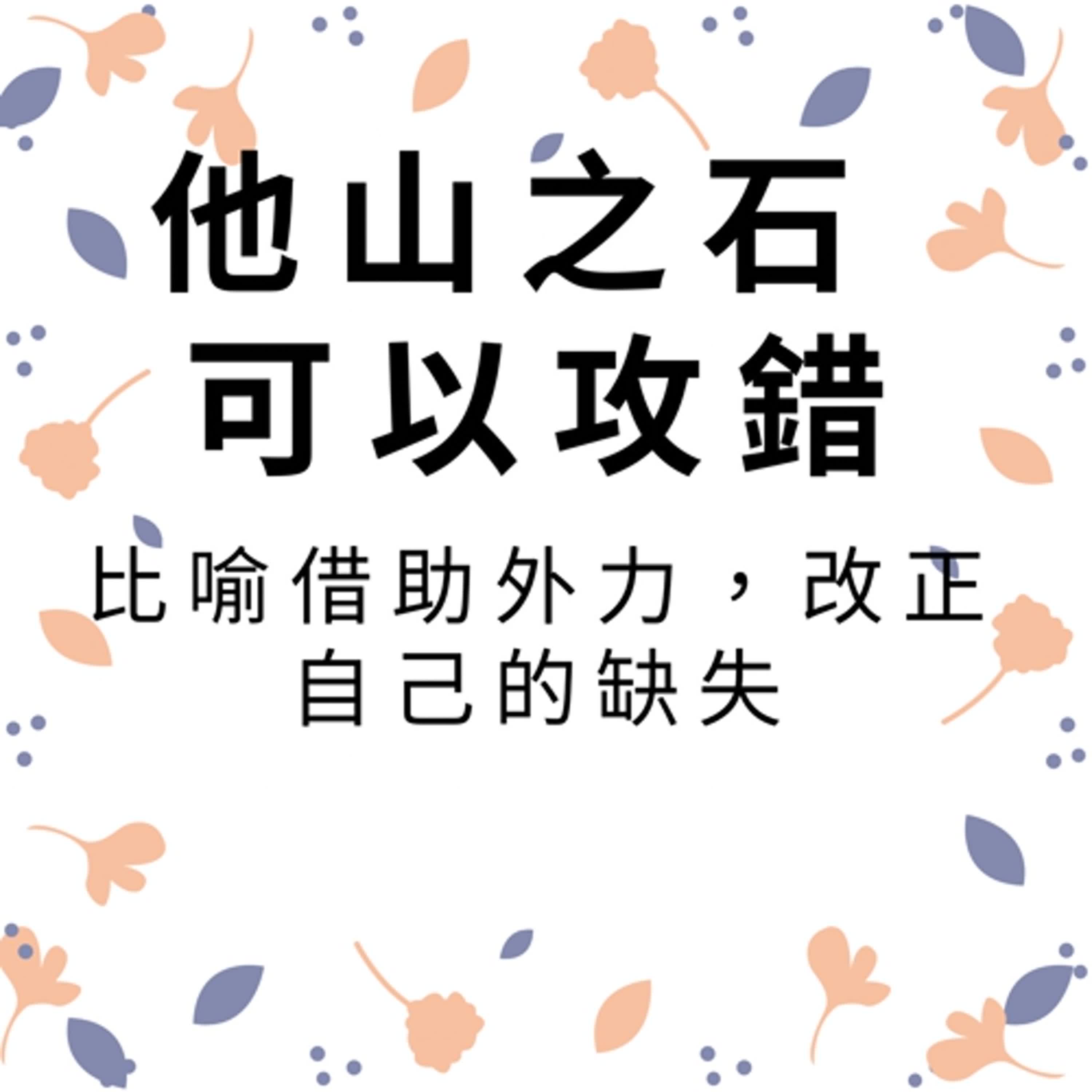 ep411他山之石，可以攻錯 episode artwork