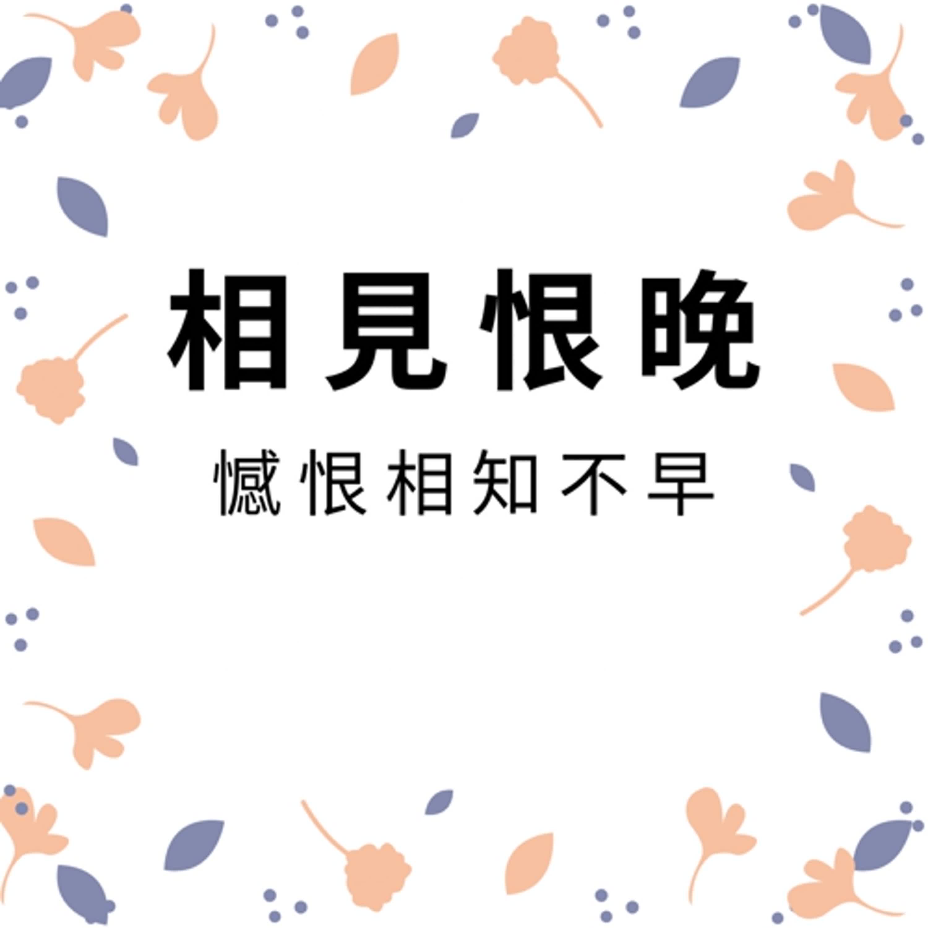 ep541相見恨晚 episode artwork