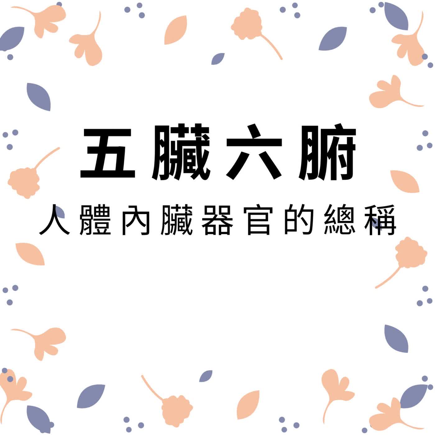 ep711五臟六腑 episode artwork