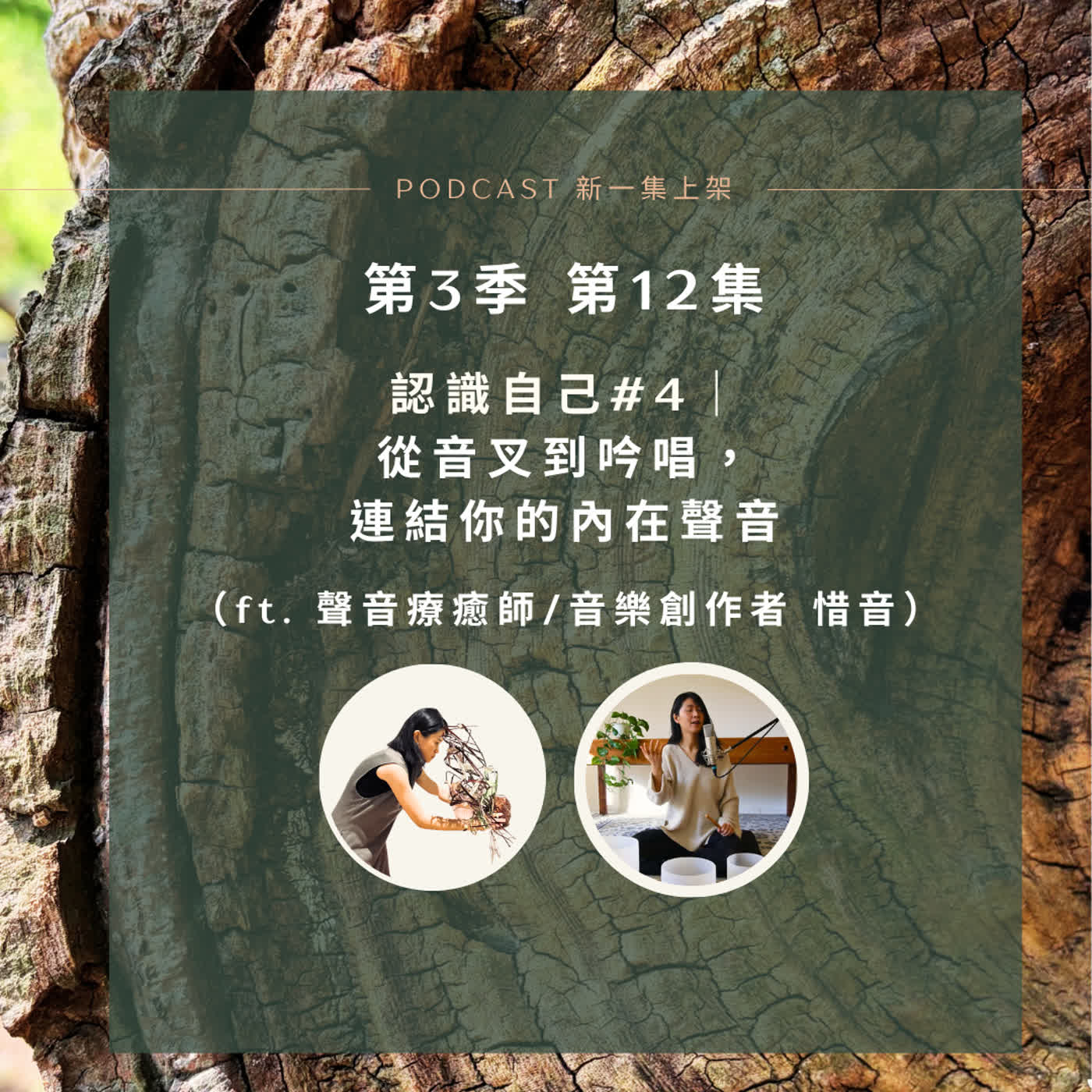S3E12 認識自己#4| 從音叉到吟唱,連結你的內在聲音(ft. 聲音療癒師/音樂創作者 惜音)