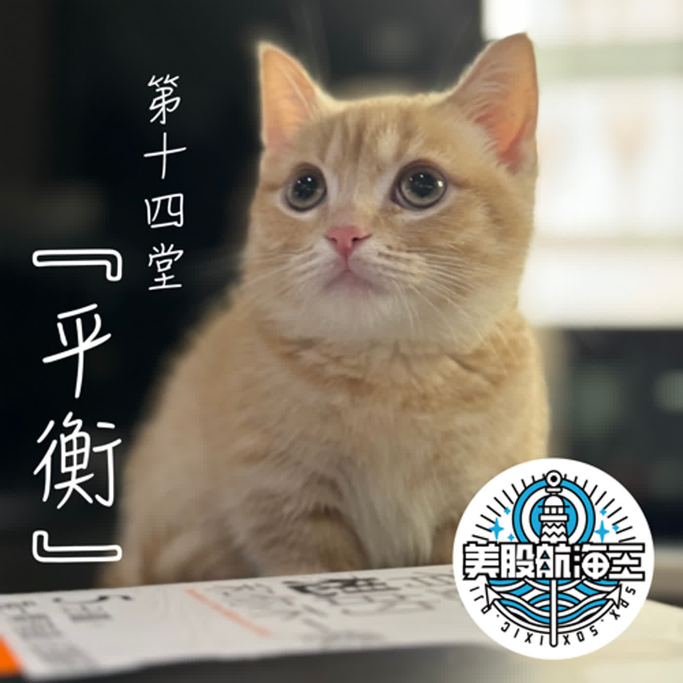 富人學🔆第十四堂｜『平衡』