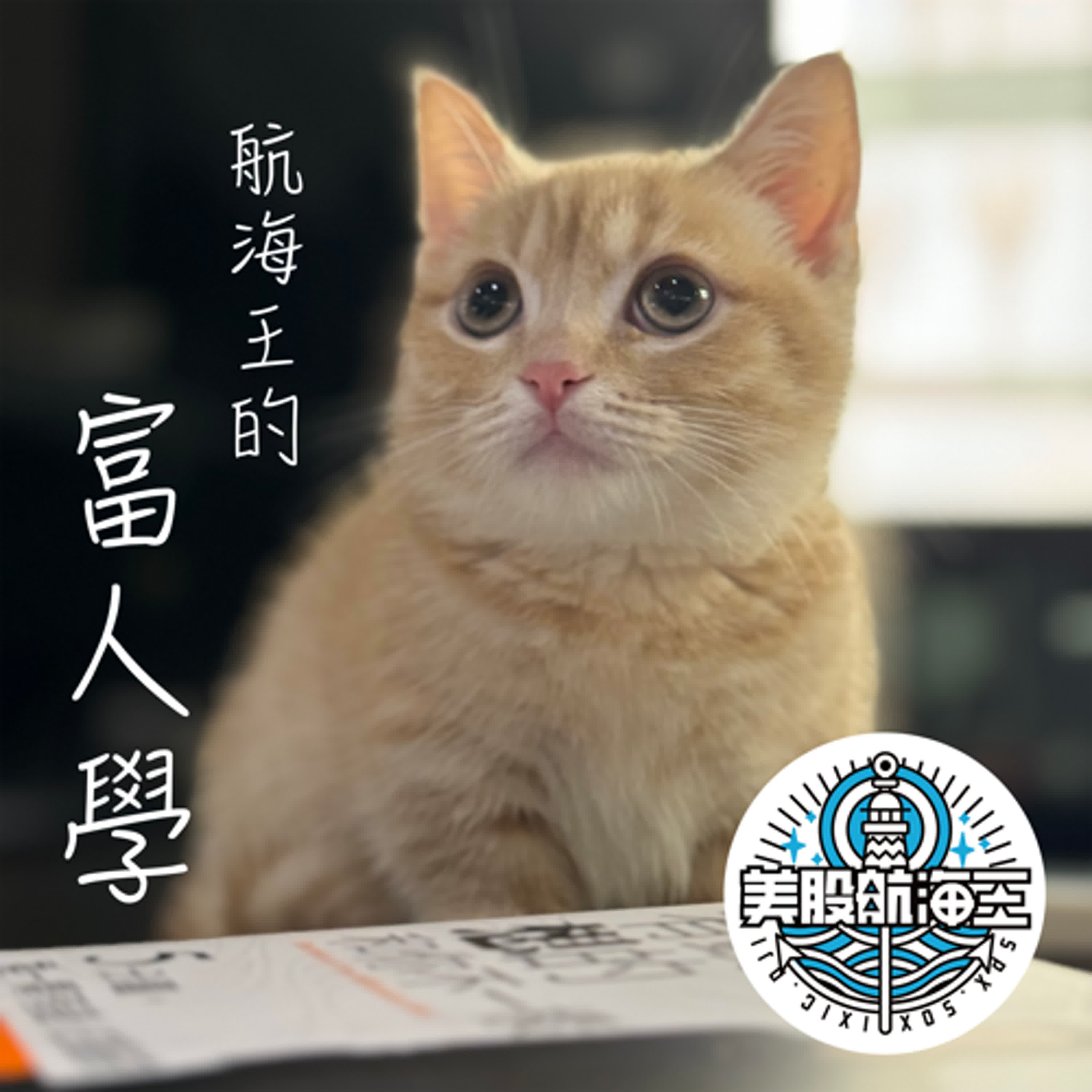 富人學🔆第五十四堂｜『追漲』