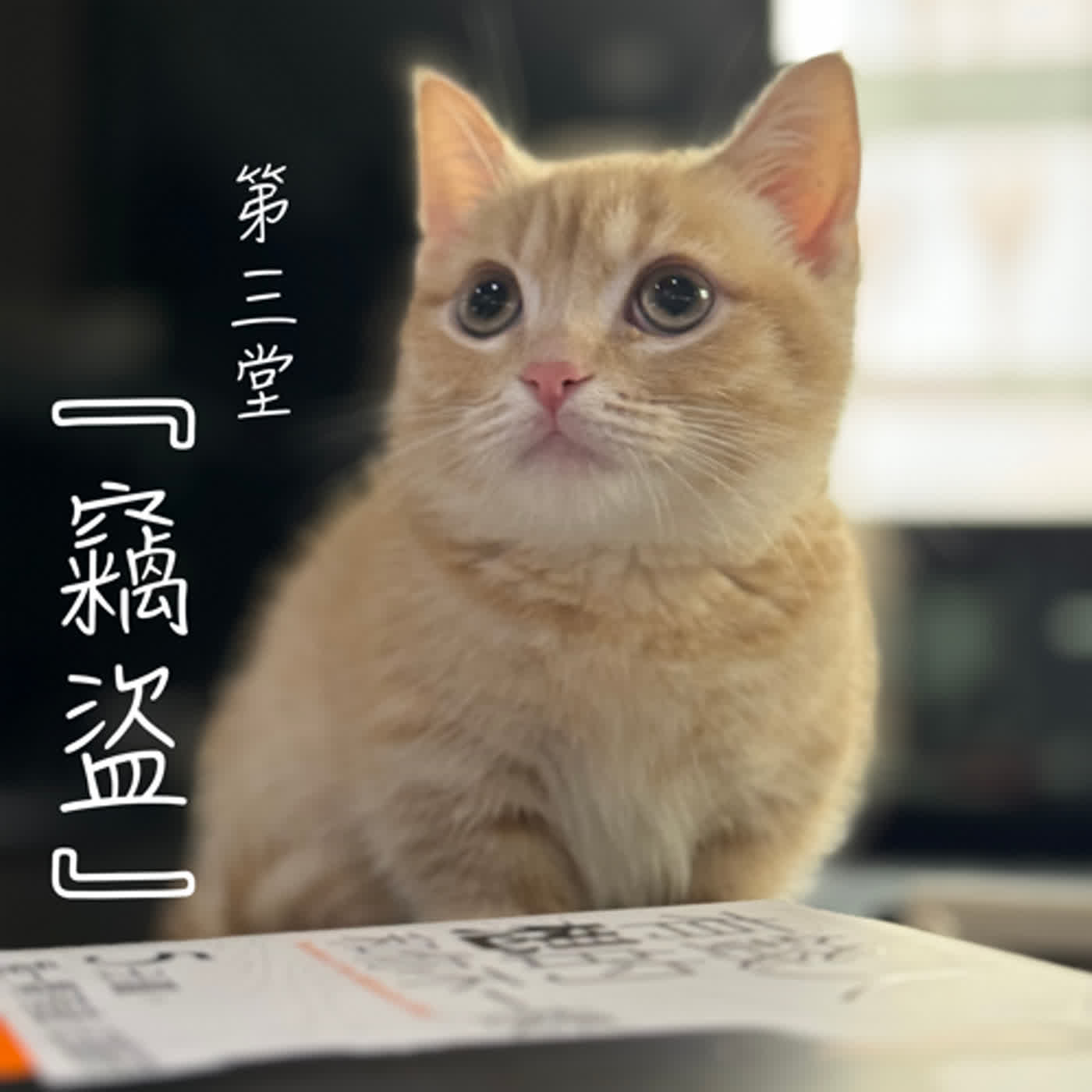 富人學🔆第三堂｜『竊盜』