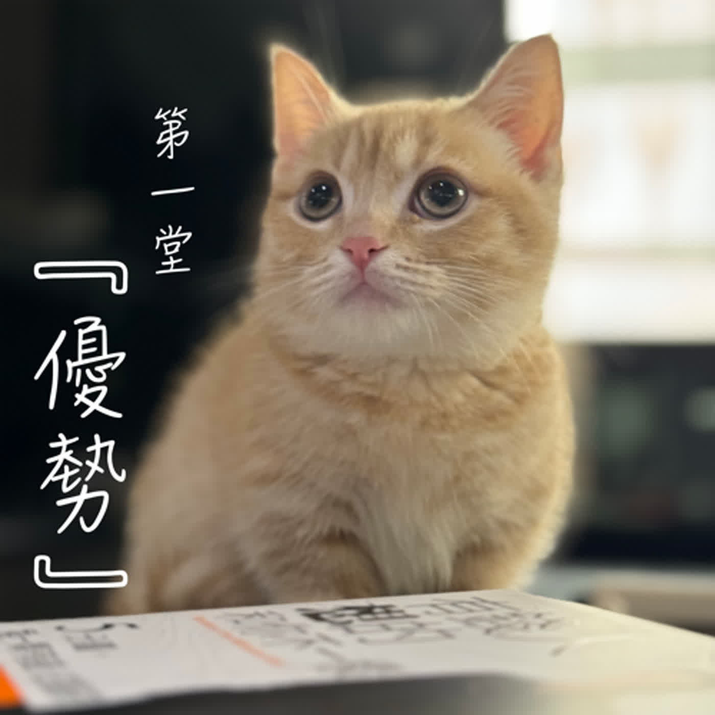 富人學🔆第一堂｜『優勢』