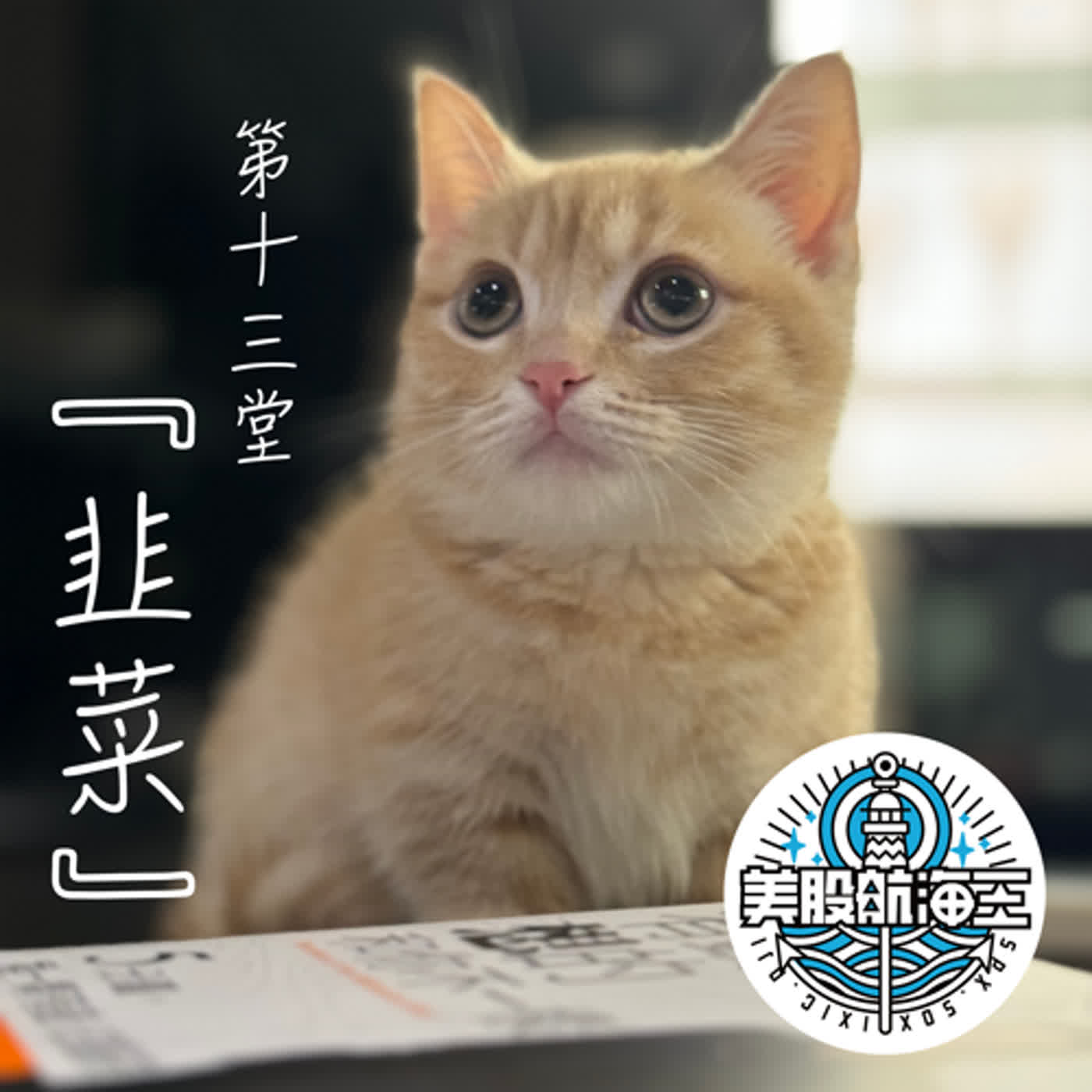 富人學🔆第十三堂｜『韭菜』