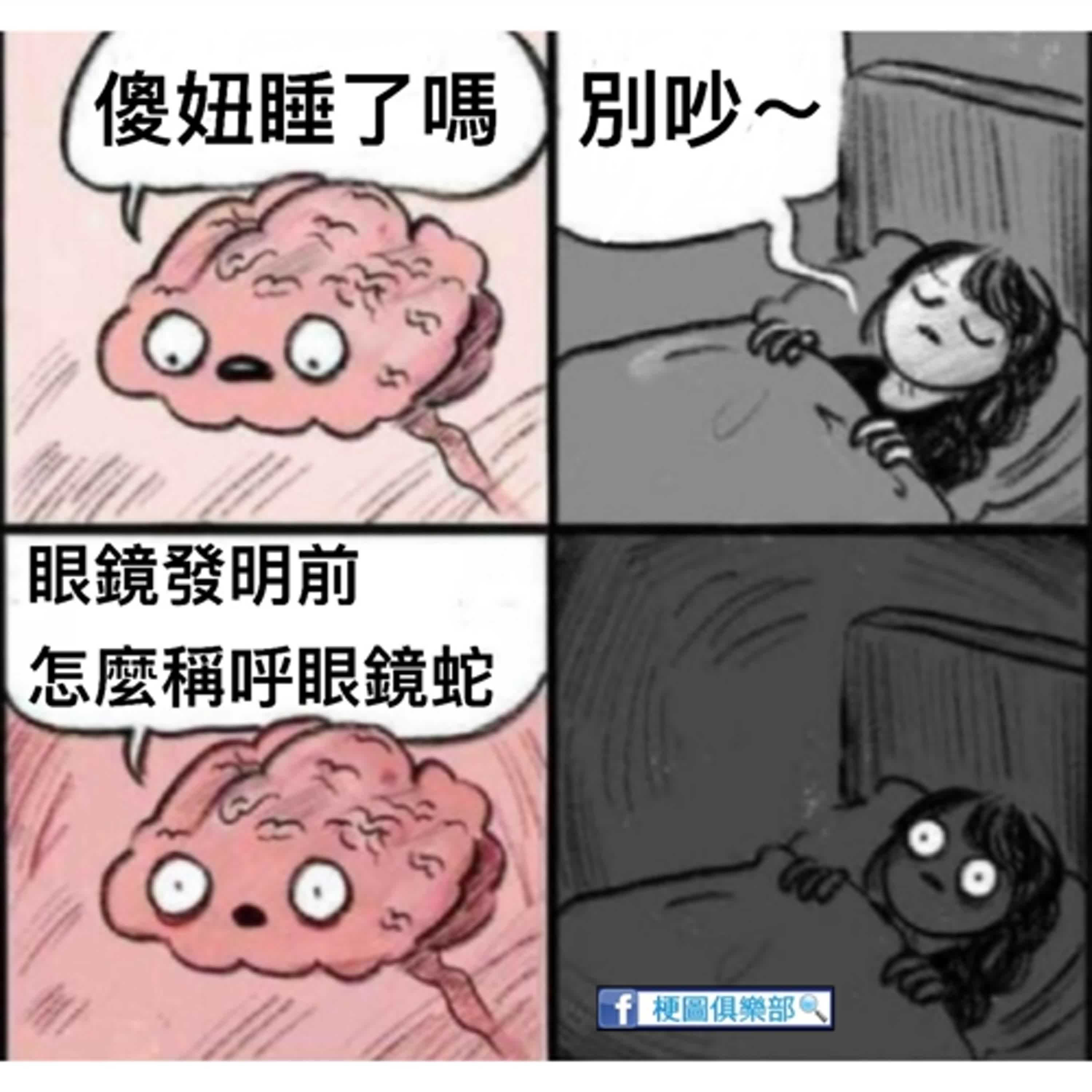 EP.83 蛇出沒 ! 關於蛇的那些奇妙經驗