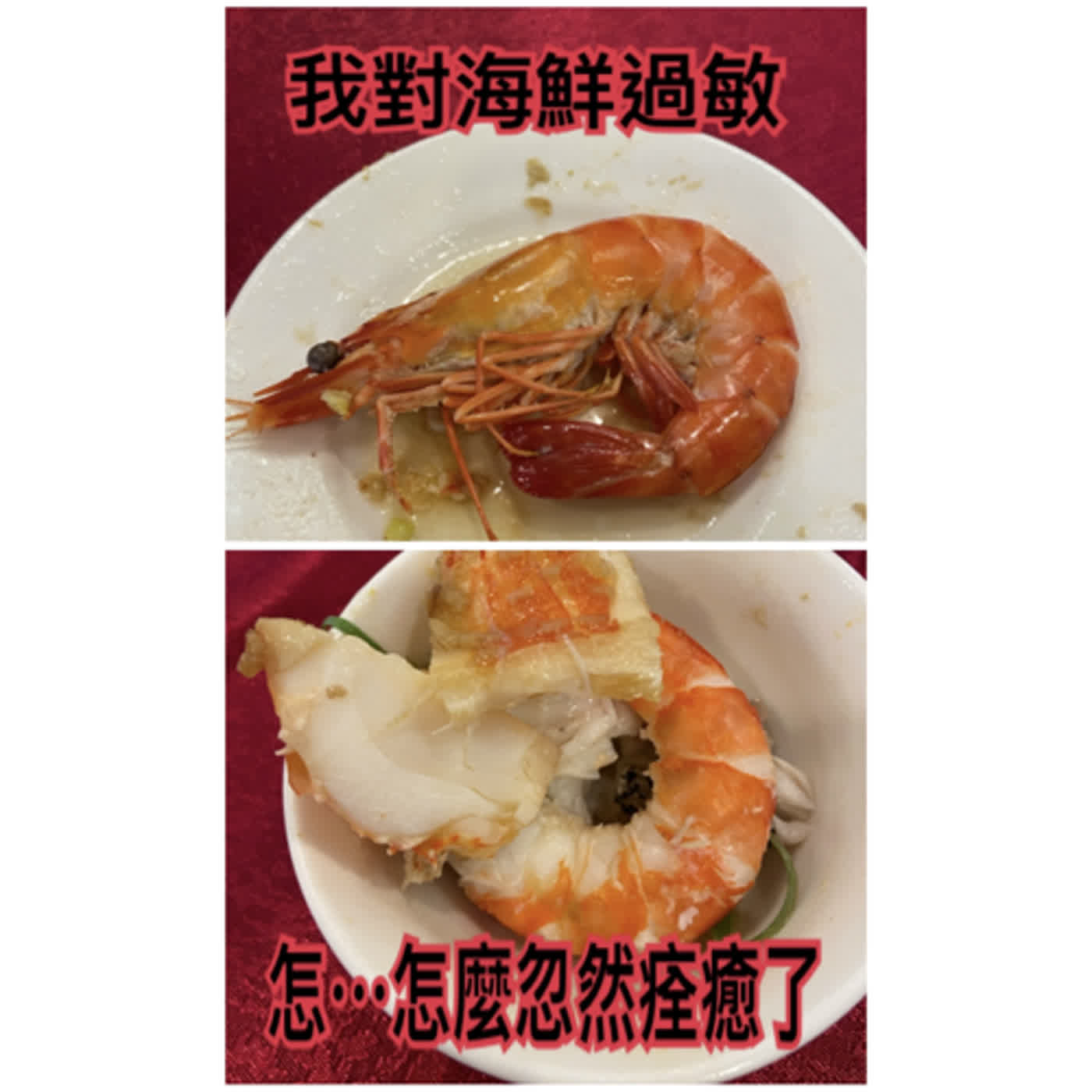 EP.02 什麼！？過敏這個不能吃，那個不能碰，也太痛苦了吧!  聽大麴和芒果兩個過敏患者娓娓道來吧 episode artwork