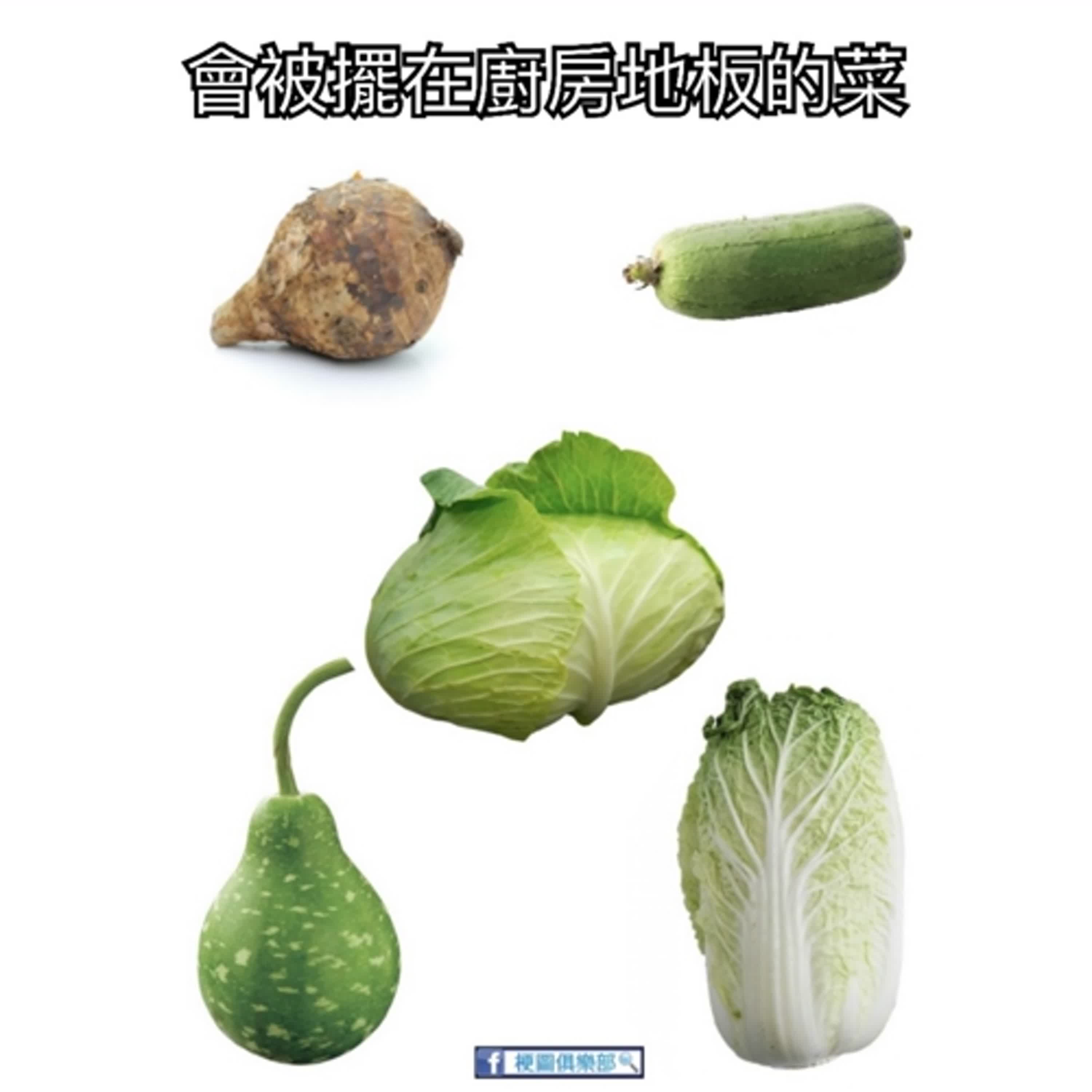 EP.40 挑食的你有喜歡吃的蔬菜嗎？ episode artwork