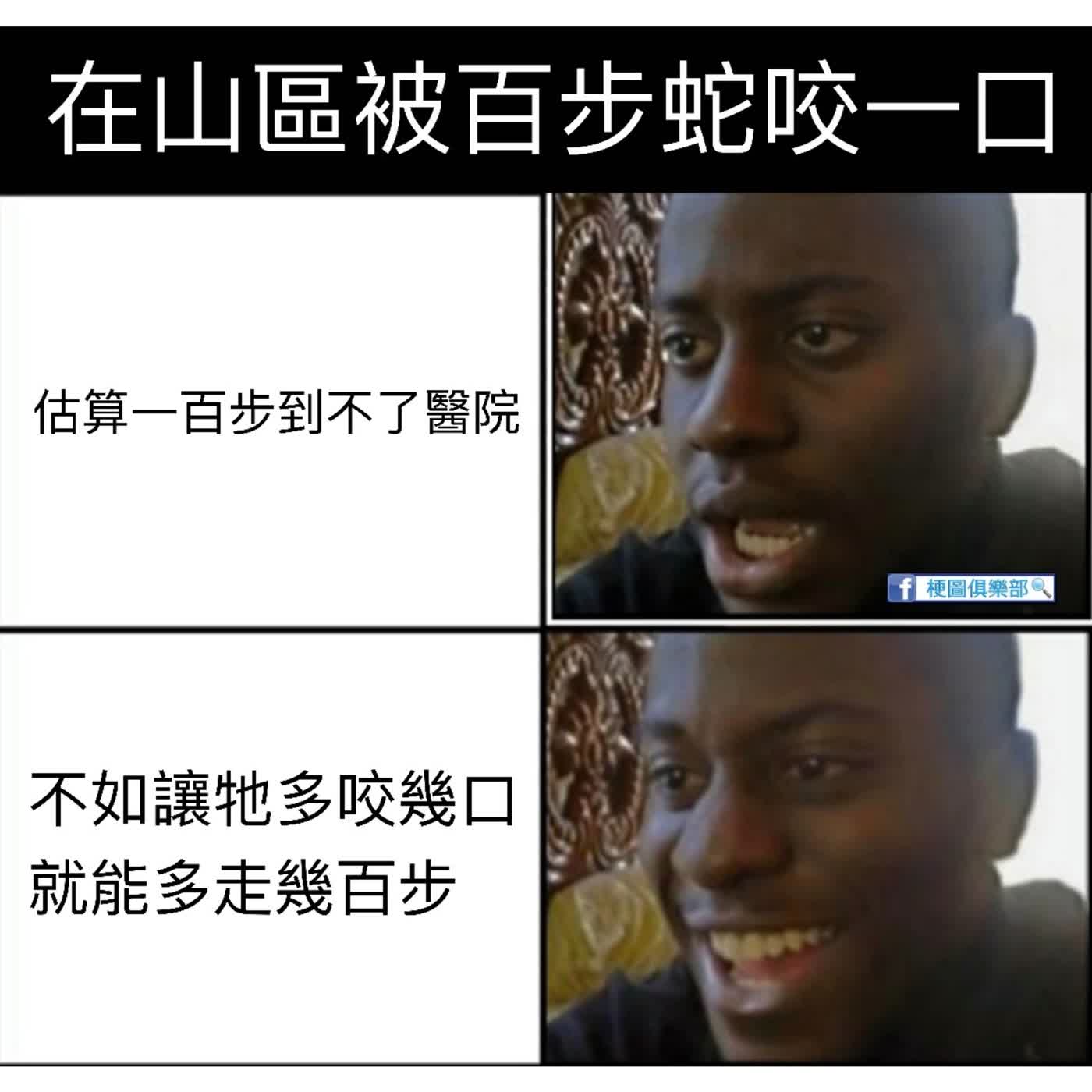 EP.90 蛇麼？你確定你真的懂蛇嗎？ episode artwork