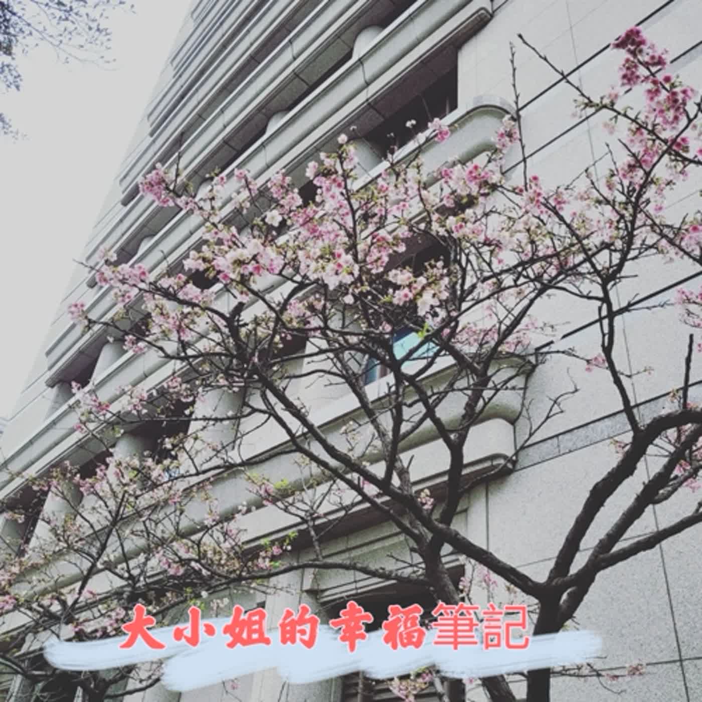 EP28 花開啦 心醉了 episode artwork