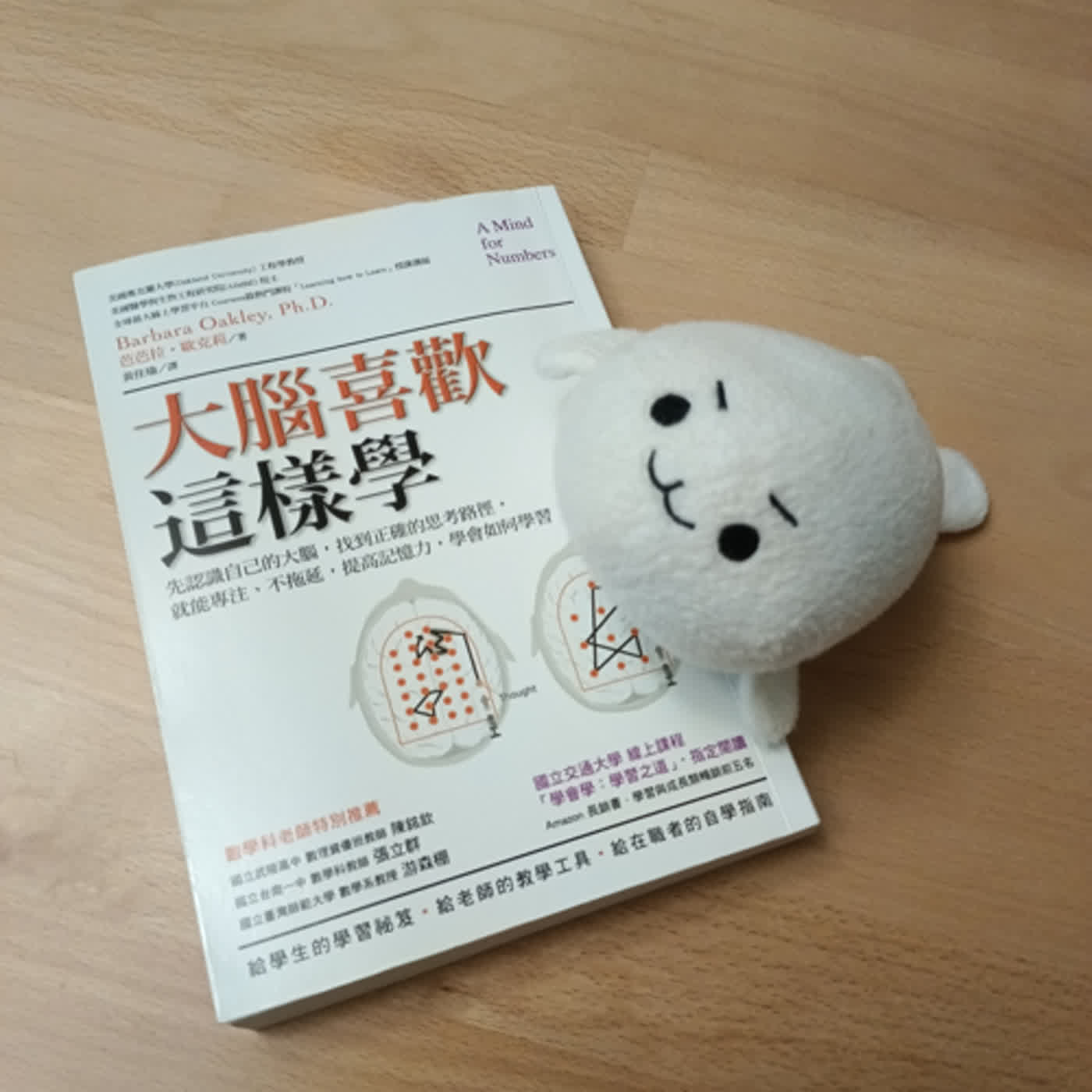 #12《大腦喜歡這樣學》學習是一件跟信念有關的事，學之前，先相信自己能學好。 episode artwork