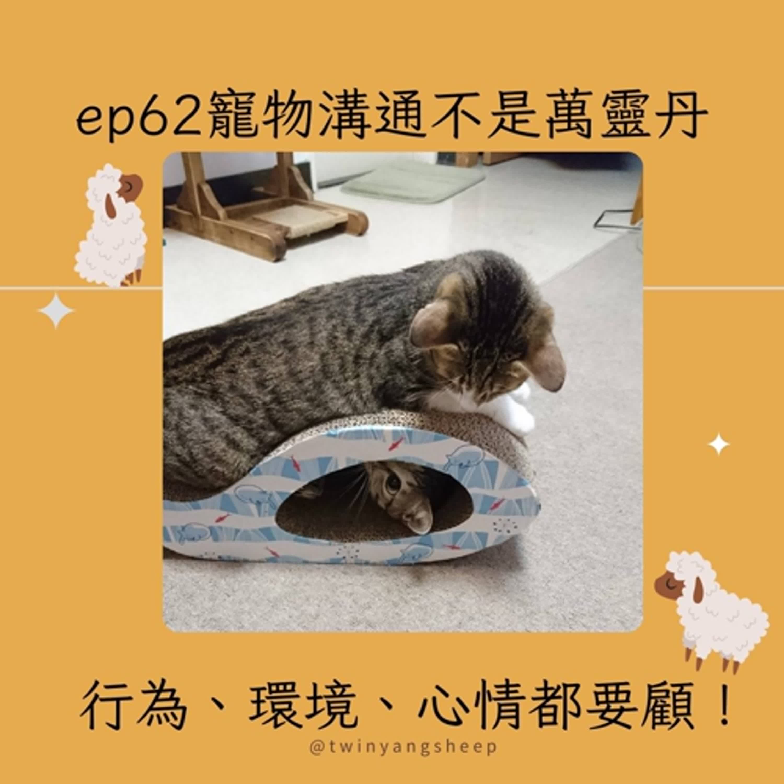 ep 62: 寵物溝通不是萬靈丹---行為、環境、心情都要顧！