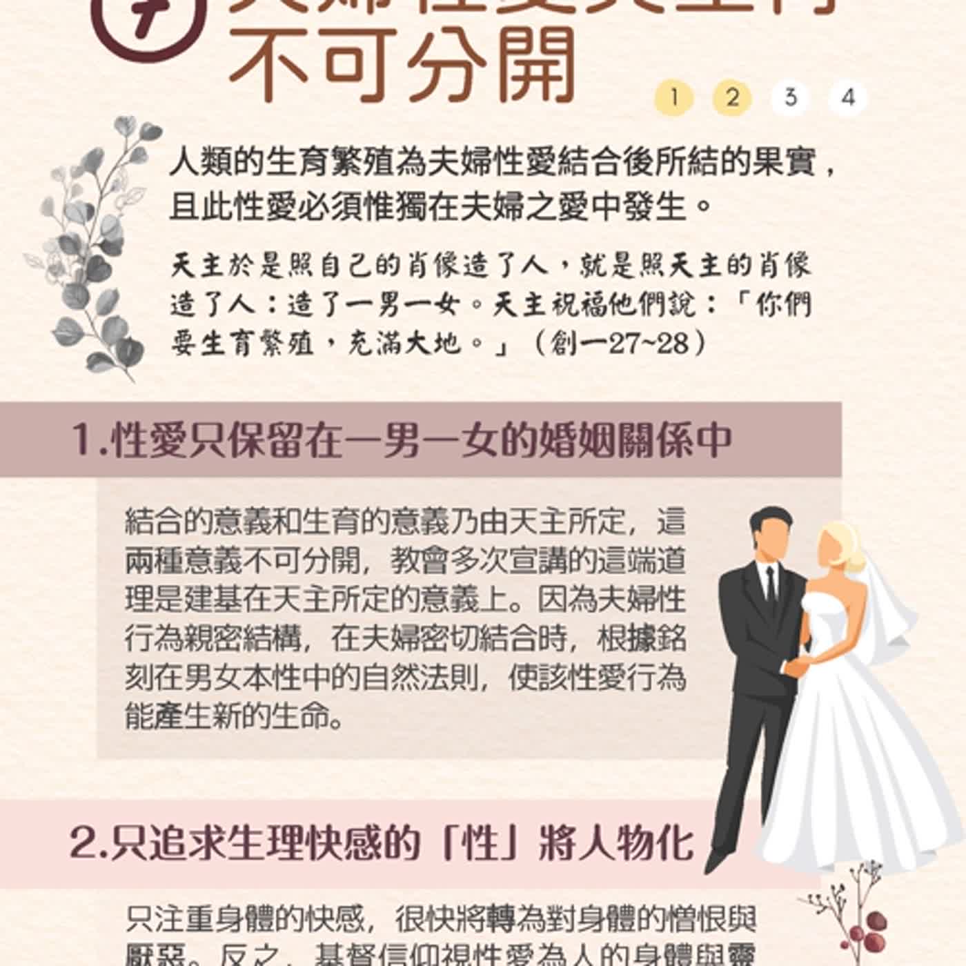 《生命倫理指引》第七條：夫婦性愛與生育不可分開；第八條：順應人類生理自然規律生育最優 episode artwork