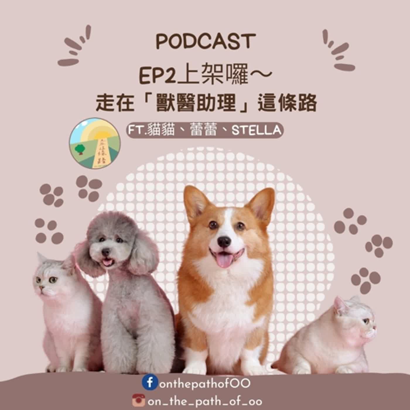 EP2.走在「獸醫助理」這條路～動物好可愛！工作也只想和動物一起～獸醫助理都在做什麼？？（ft.貓貓、蕾蕾、Stella）