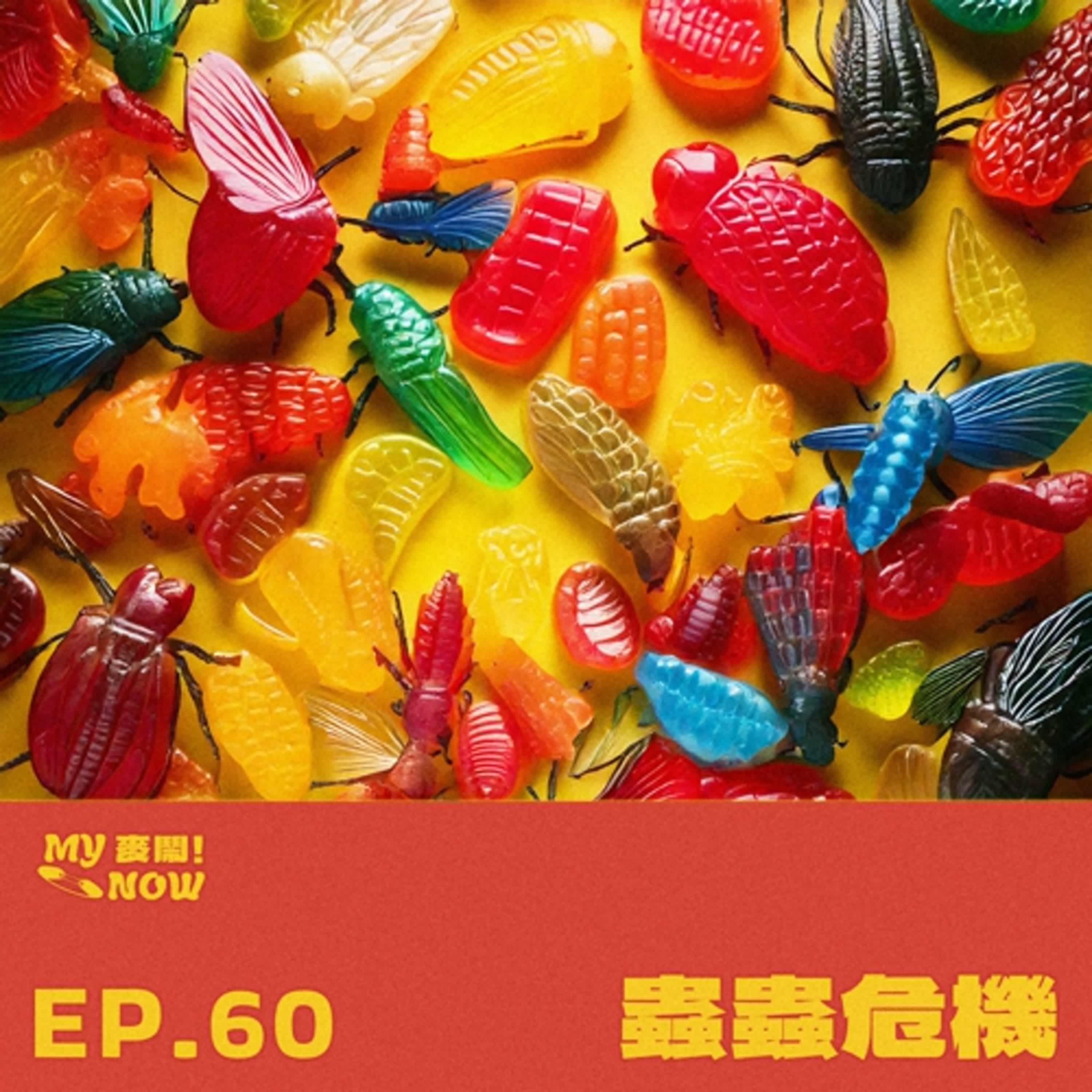 《My NOW 麥鬧》EP60：️蟲蟲危機 episode artwork