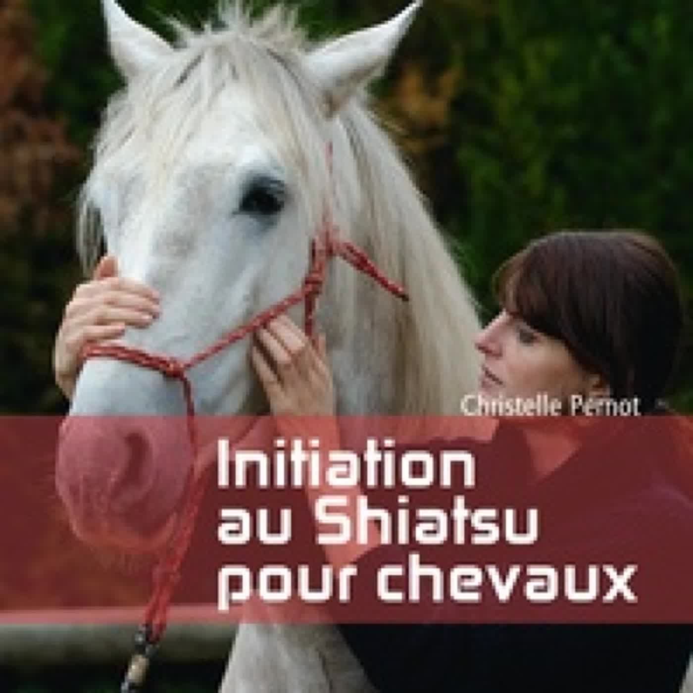 {pdf download} Initiation au shiatsu pour chevaux  - Le pouvoir de toucher