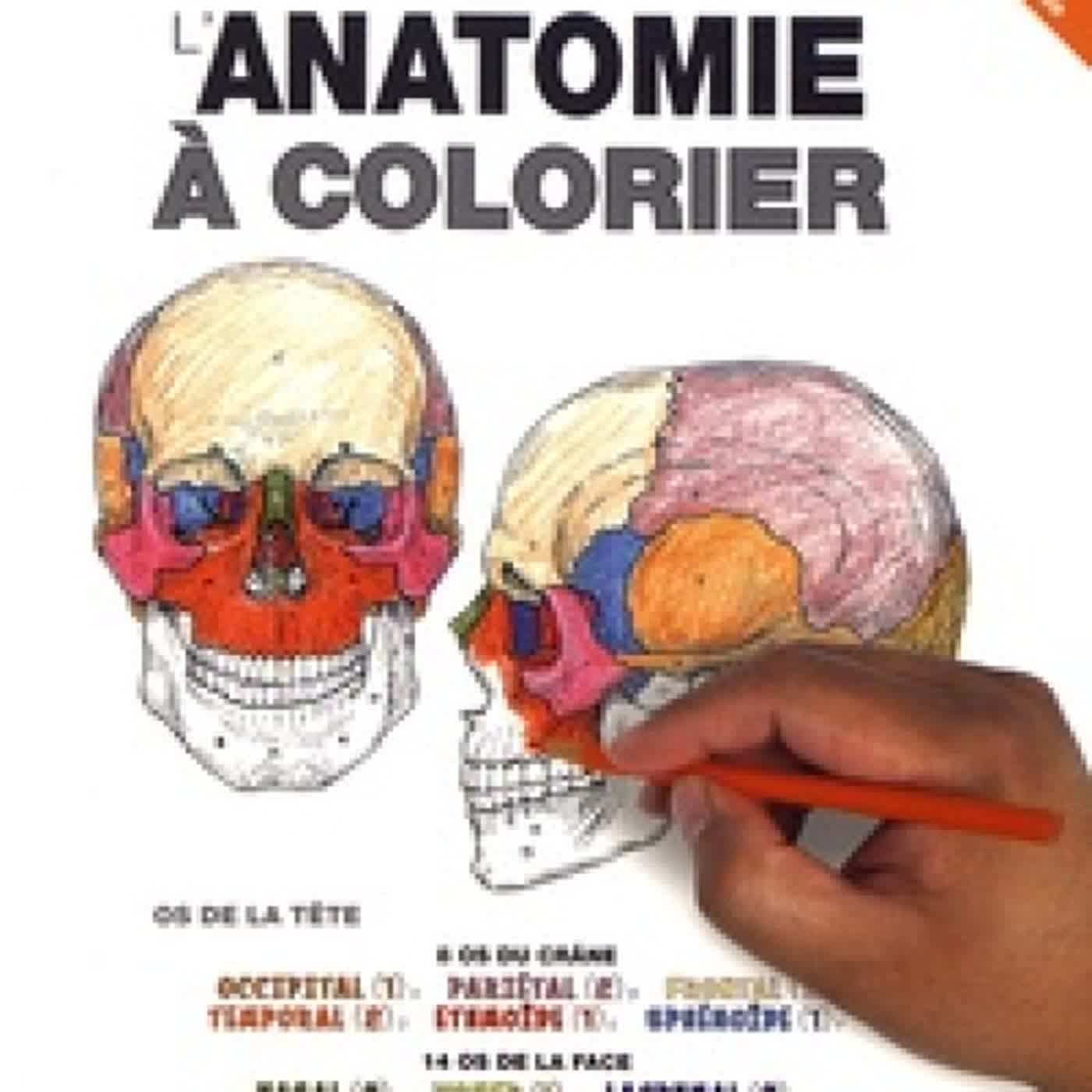 Read online: L'anatomie à colorier