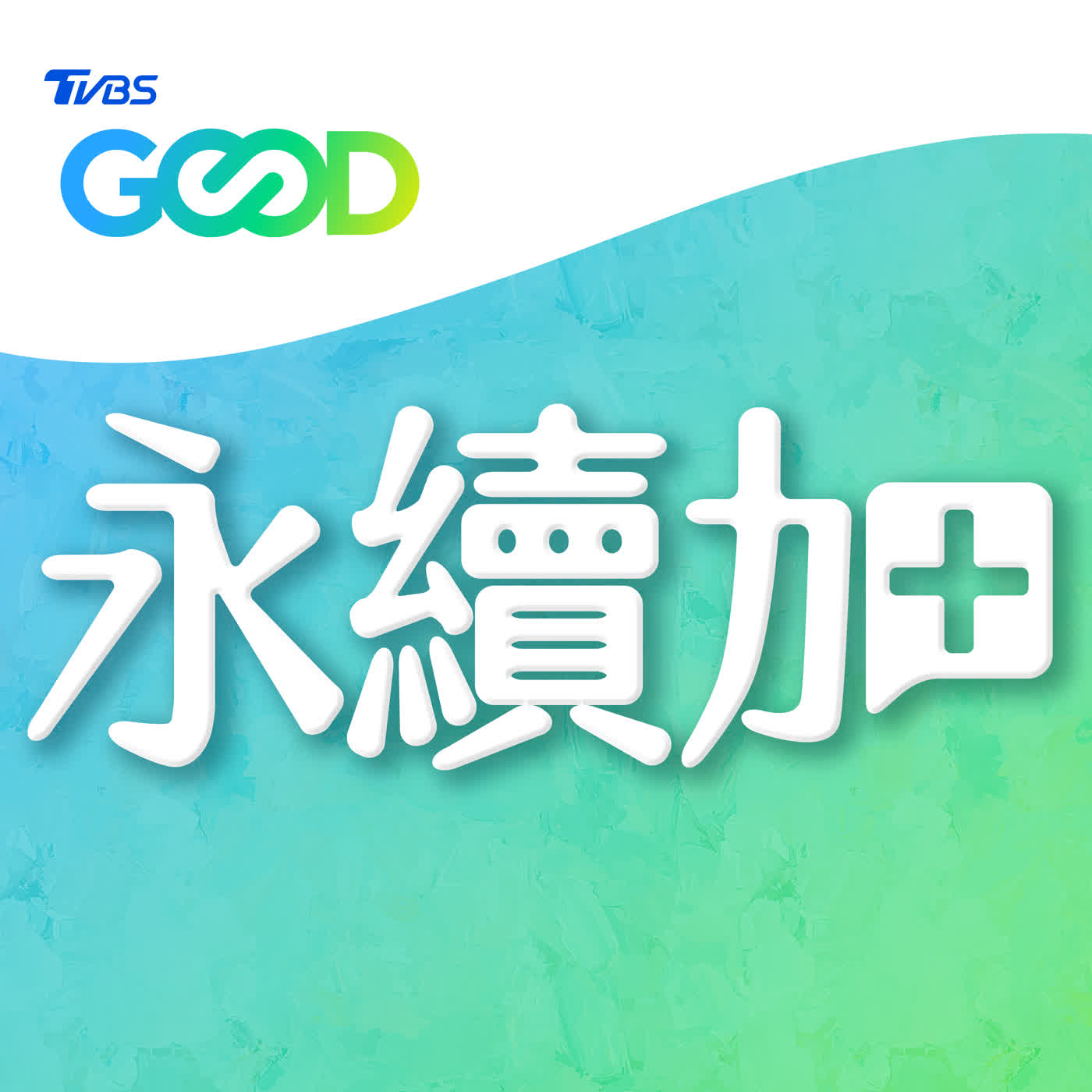 【永續加】EP30❯❯ 永續不只淨灘!先照顧好員工,ESG才會落地|夏嘉璐 ft. 地球解方 Kevin episode artwork