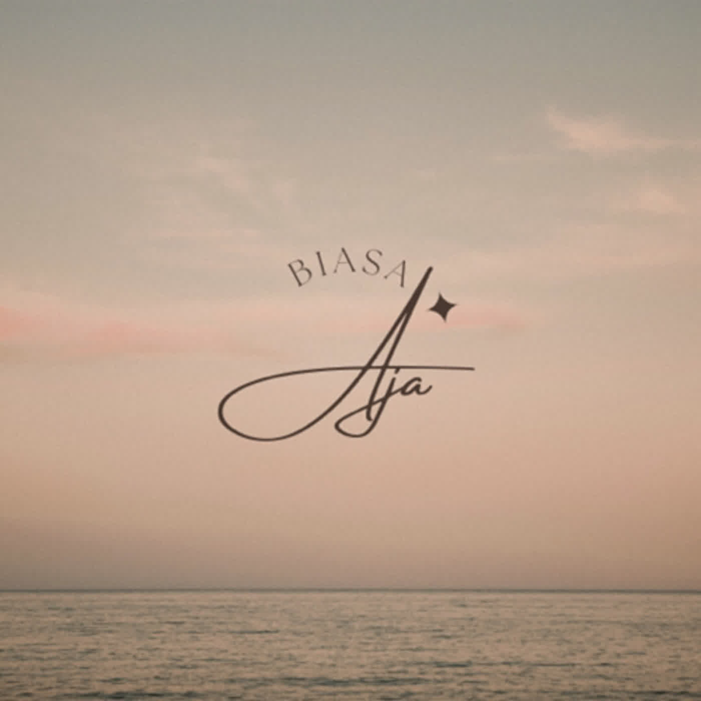 Biasa Aja