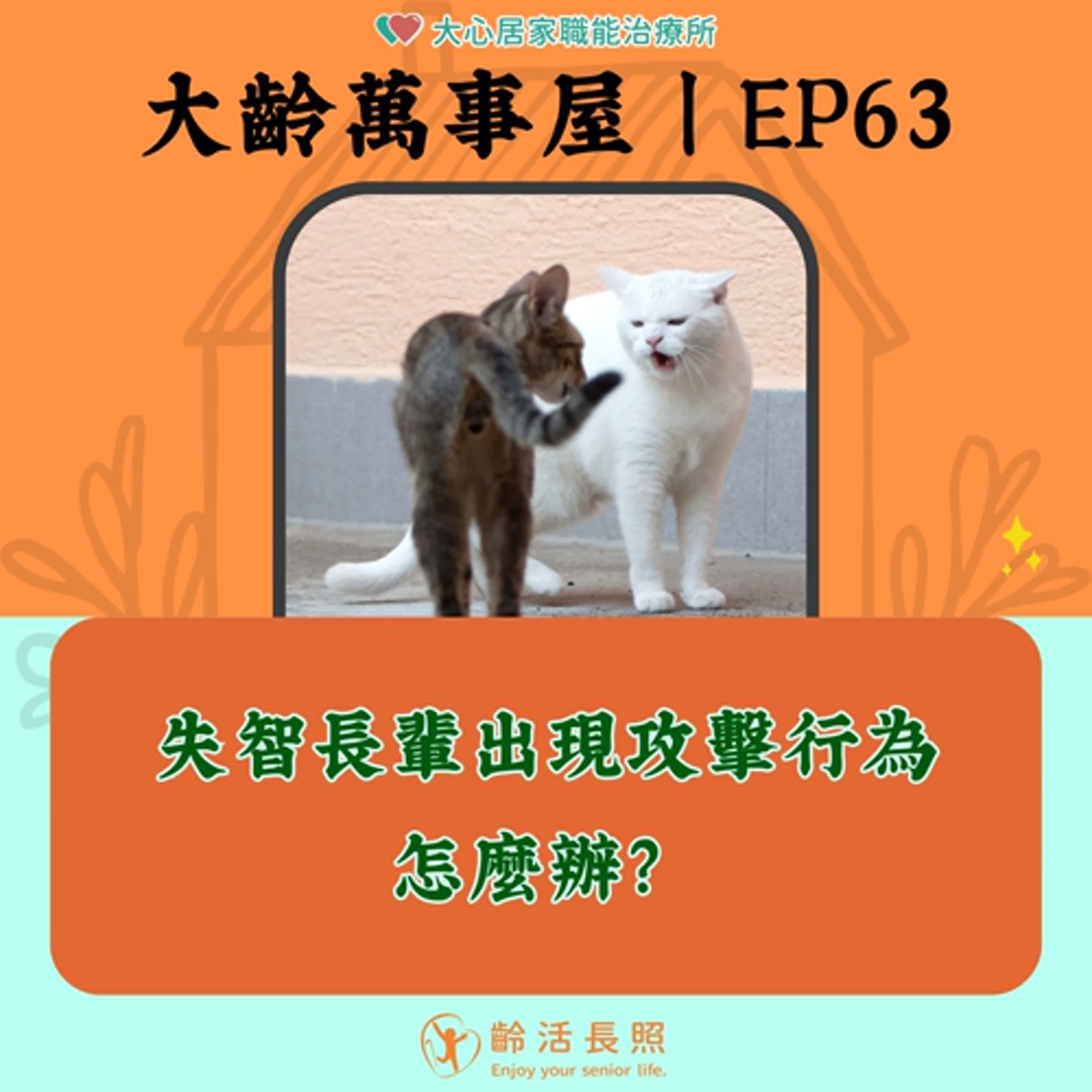 【EP63｜失智長輩出現攻擊行為怎麼辦？】
