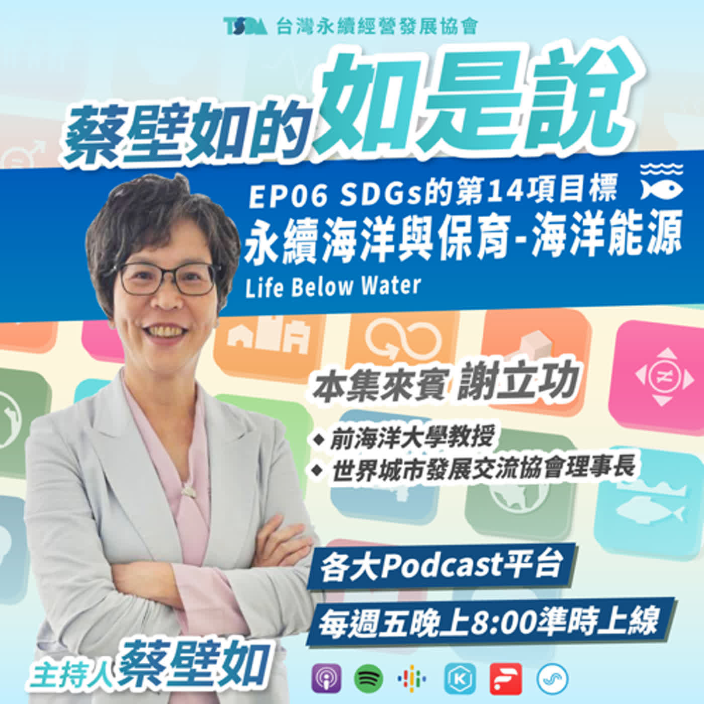 EP06【蔡壁如×謝立功】SDGs 目標14｜永續海洋與保育 Life Below Water - 海洋能源