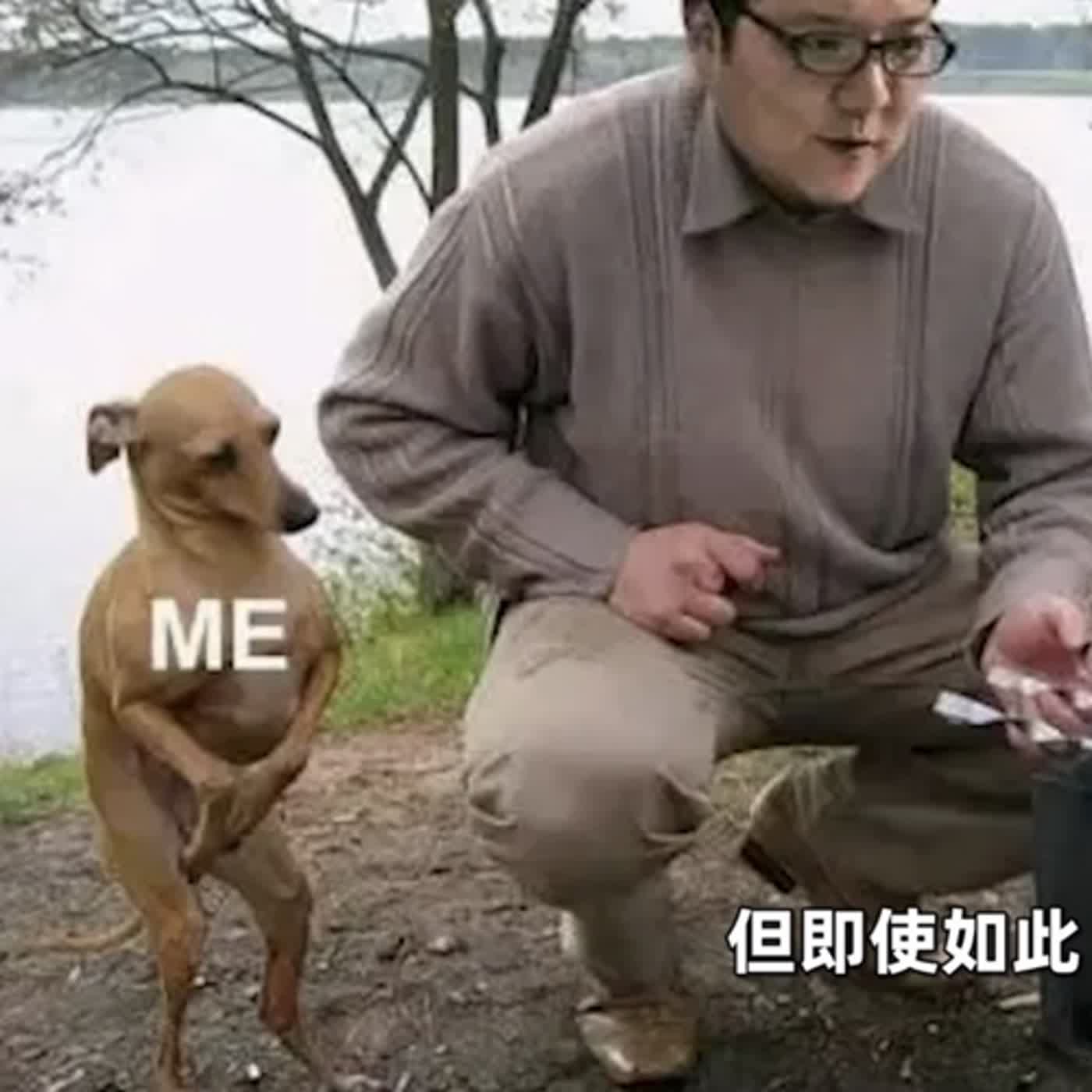 從十字軍東征到Only Fans