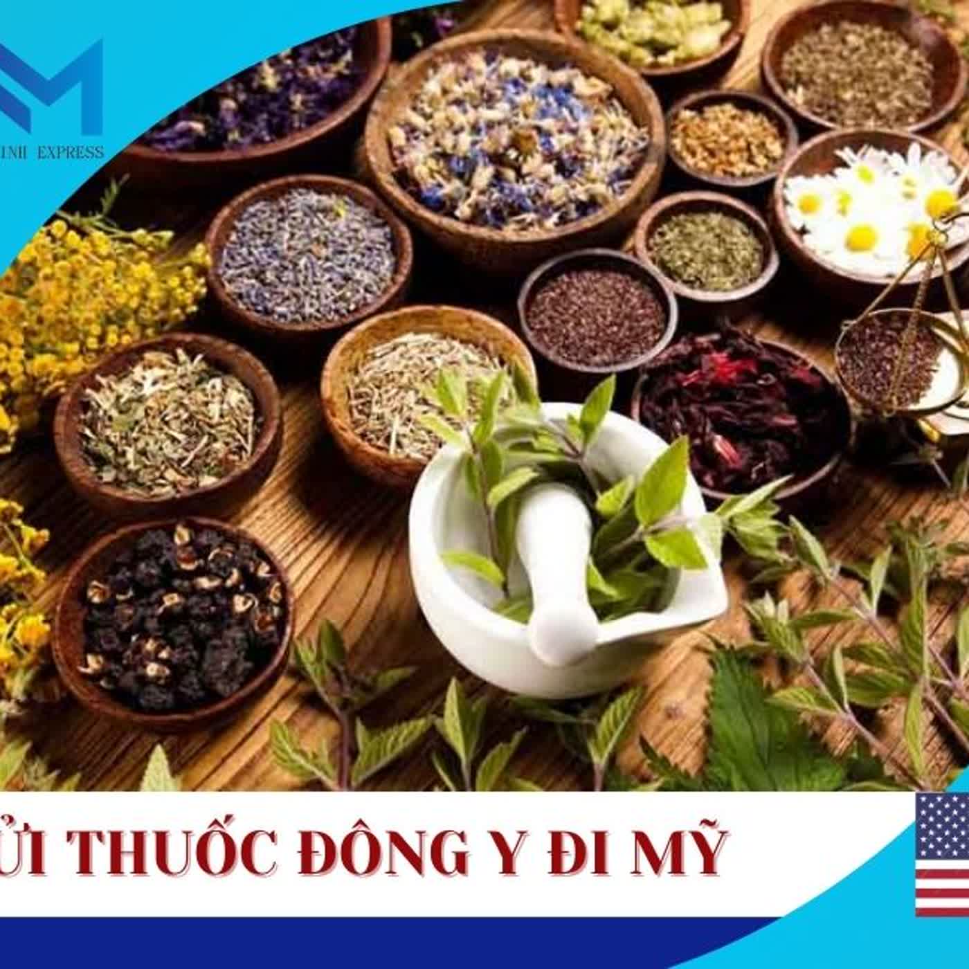 gui thuoc dong y di my cho nguoi moi bat dau episode artwork
