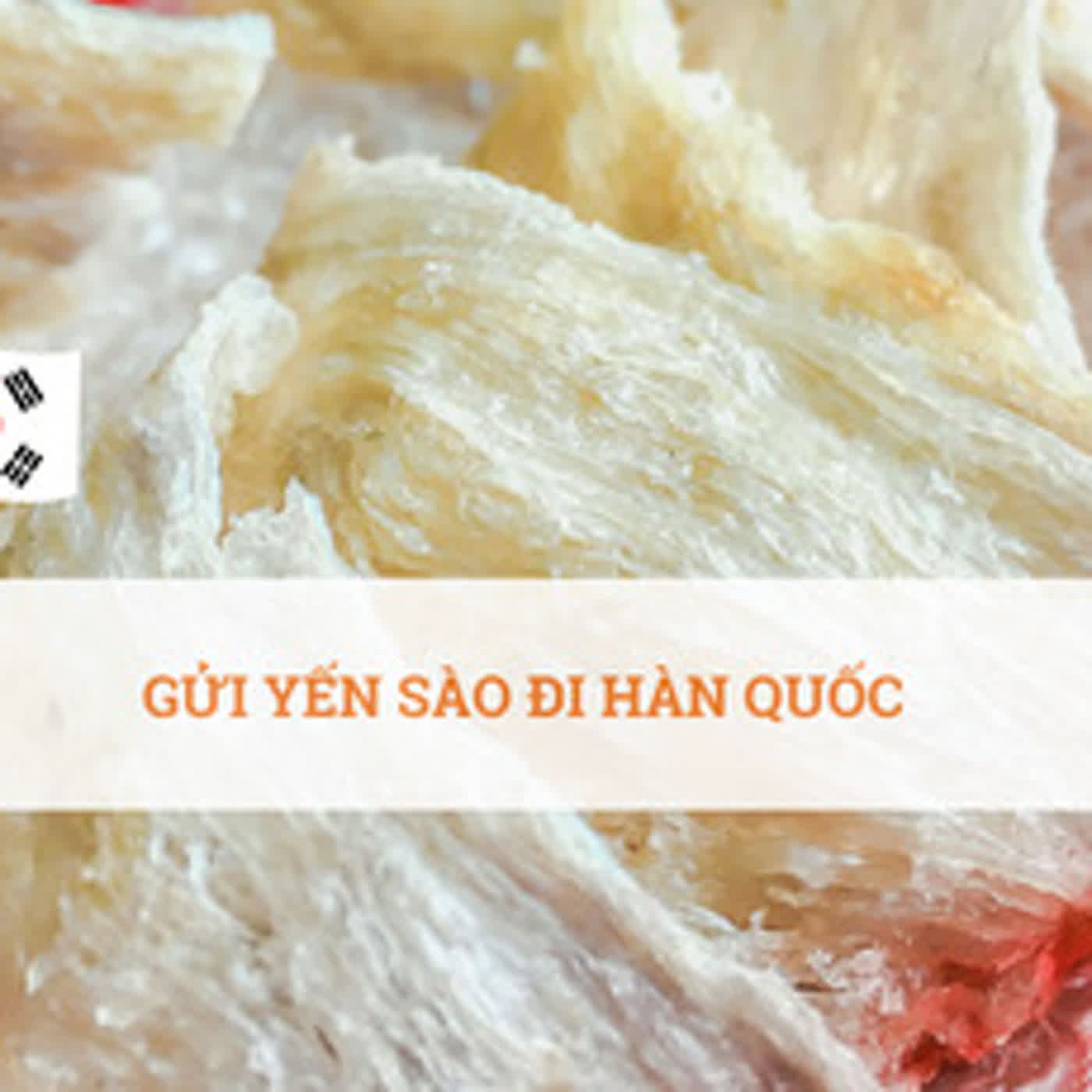 gui yen sao di han quoc cho nguoi moi bat dau episode artwork