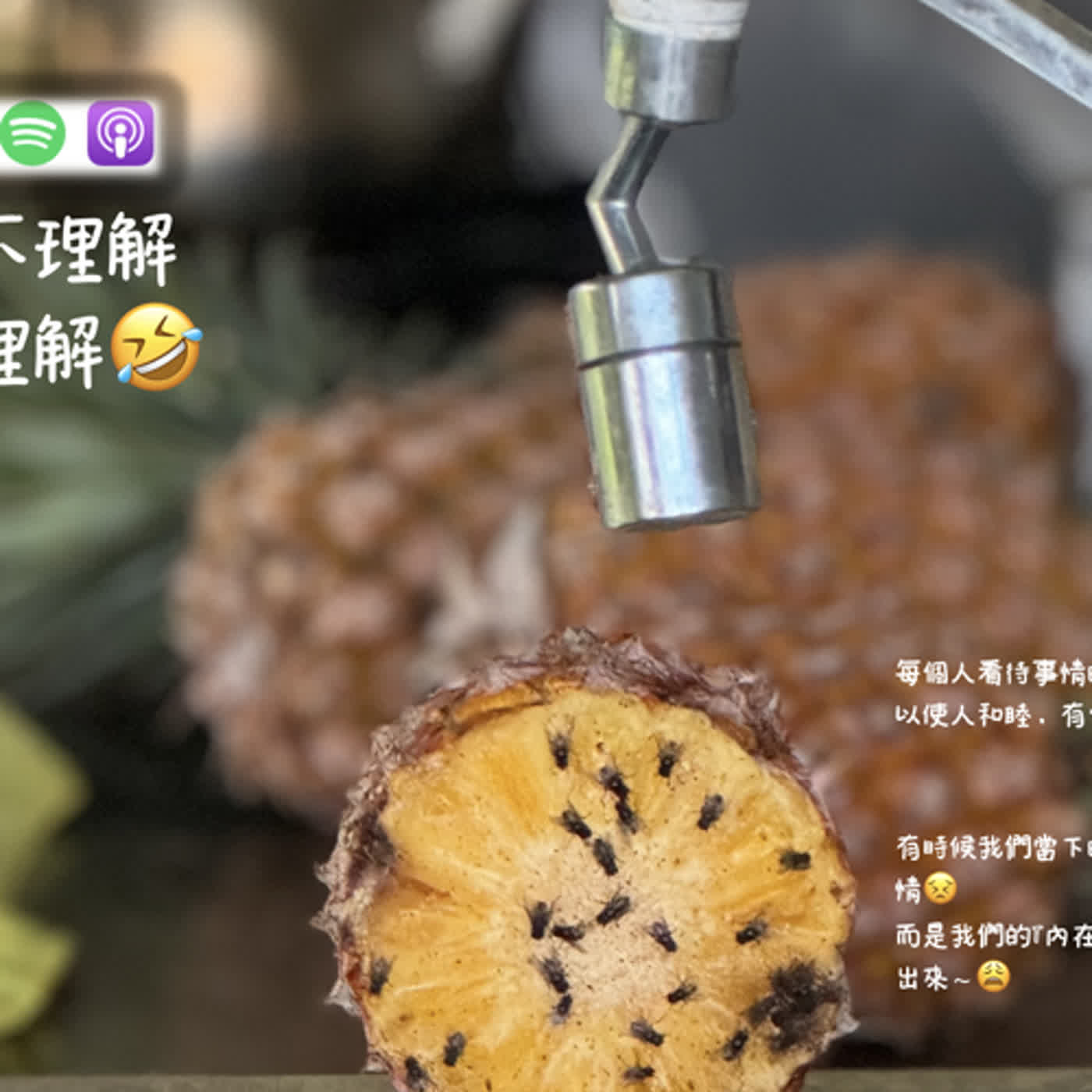 當我不理解你的理解🤣 episode artwork